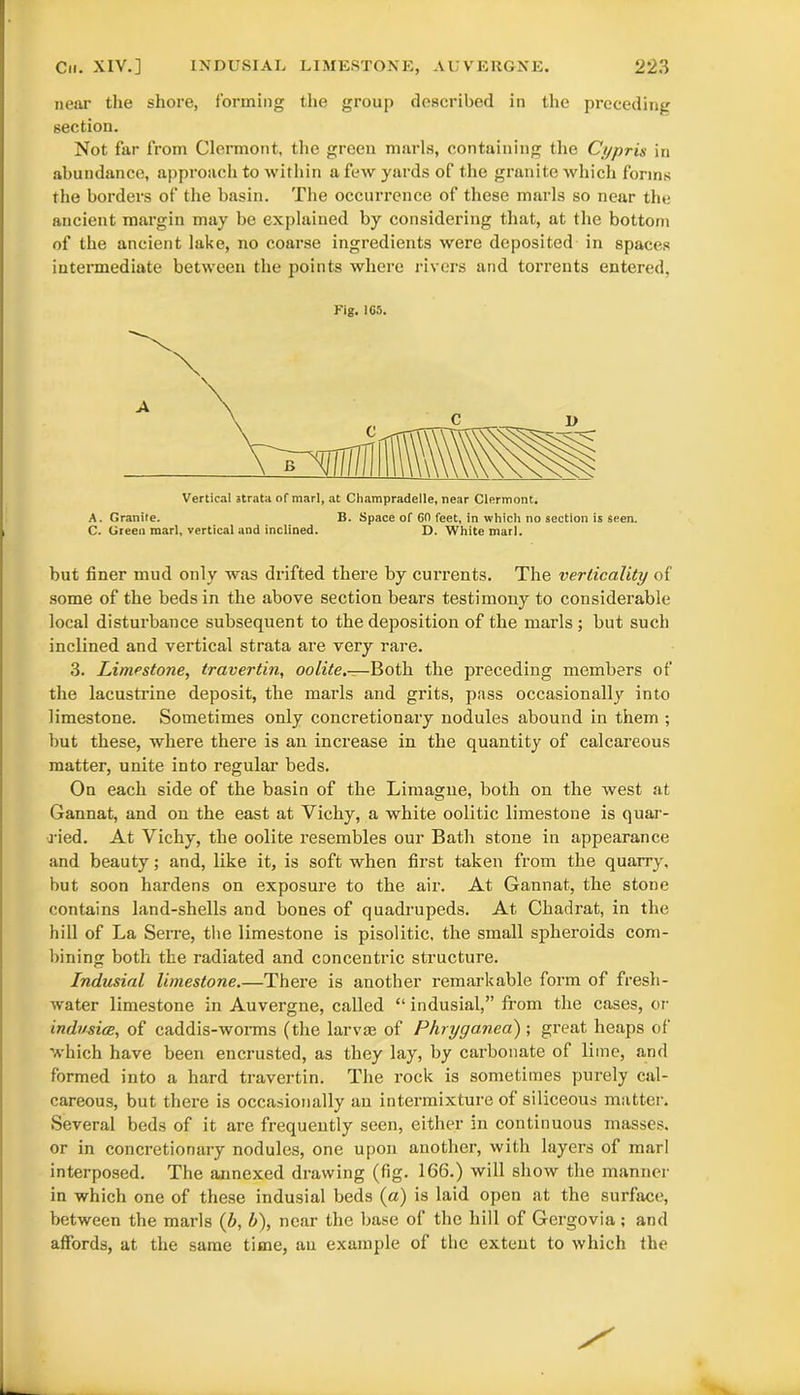 near the shore, forming the group described in the preceding section. Not far from Clermont, the green marls, containing the Cypris in abundance, approach to within a few yards of the granite which forms the borders of the basin. The occurrence of these marls so near the ancient margin may be explained by considering that, at the bottom of the ancient lake, no coarse ingredients were deposited in spaces intermediate between the points where rivers and torrents entered, Fig. 165. Vertical strata of marl, at Champradelle, near Clermont. A. Granite. B. Space of GO feet, in which no section is seen. C. Green marl, vertical and inclined. D. White marl. but finer mud only was drifted there by currents. The verlicality of some of the beds in the above section bears testimony to considerable local disturbance subsequent to the deposition of the marls ; but such inclined and vertical strata are very rare. 3. Limestone, travertin, oolite.—Both the preceding members of the lacustrine deposit, the marls and grits, pass occasionally into limestone. Sometimes only concretionary nodules abound in them ; but these, where there is an increase in the quantity of calcareous matter, unite into regular beds. On each side of the basin of the Limagne, both on the west at Gannat, and on the east at Vichy, a white oolitic limestone is quar- ried. At Vichy, the oolite resembles our Bath stone in appearance and beauty; and, like it, is soft when first taken from the quarry, but soon hardens on exposure to the air. At Gannat, the stone contains land-shells and bones of quadrupeds. At Chadrat, in the hill of La Serre, the limestone is pisolitic. the small spheroids com- bining both the radiated and concentric structure. Indusial limestone.—There is another remarkable form of fresh- water limestone in Auvergne, called “ indusial,” from the cases, or indusice, of caddis-worms (the larvae of Phryganea) ; great heaps of which have been encrusted, as they lay, by carbonate of lime, and formed into a hard travertin. The rock is sometimes purely cal- careous, but there is occasionally an intermixture of siliceous matter. Several beds of it are frequently seen, either in continuous masses, or in concretionary nodules, one upon another, with layers of marl interposed. The annexed drawing (fig. 166.) will show the manner in which one of these indusial beds (a) is laid open at the surface, between the marls (b, b), near the base of the hill of Gergovia; and affords, at the same time, an example of the extent to which the