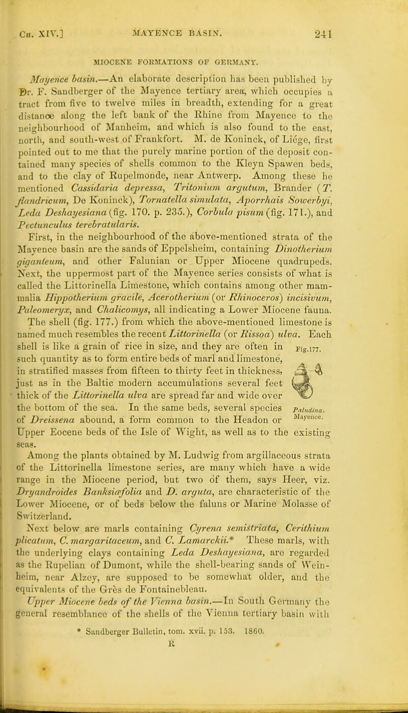 MIOCENE FORMATIONS OF GERMANY. Mayence basin.—An elaborate description lias been published by Br. F. Sandberger of the Mayence tertiary area, which occupies a tract from five to twelve miles in breadth, extending for a great distance along the left bank of the Rhine from Mayence to the neighbourhood of Manheim, and which is also found to the east, north, and south-west of Frankfort. M. de Koninck, of Liege, first pointed out to me that the purely marine portion of the deposit con- tained many species of shells common to the Kleyn Spawen beds, and to the clay of Rupelmonde, near Antwerp. Among these he mentioned Cassidaria depressa, Tritonium argutum, Brnnder (T. jlandmcum, De Koninck), Tornatella simulata, Aporrhais Soiverbyi, Leda Deshayesiana (fig. 170. p. 235.), Corbula pisum (fig. 171.), and Pectuncvlus terebratularis. First, in the neighbourhood of the above-mentioned strata of the Mayence basin are the sands of Eppelsheim, containing Dinotherium giganCeum, and other Falunian or Upper Miocene quadrupeds. Next, the uppermost part of the Mayence series consists of what is called the Littorinella Limestone, which contains among other mam- malia Hippotherium gracile, Acerotherium (or Rhinoceros) incisivum, Paleomeryx, and Chalicomys, all indicating a Lower Miocene fauna. The shell (fig. 177.) from which the above-mentioned limestone is named much resembles the recent Littorinella (or Rissoa) idea. Each shell is like a grain of rice in size, and they are often in Fig.177. such quantity as to form entire beds of marl and limestone, in stratified masses from fifteen to thirty feet in thickness> just as in the Baltic modern accumulations several feet thick of the Littorinella idva are spread far and wide over the bottom of the sea. In the same beds, several species of Dreissena abound, a form common to the Headon or Upper Eocene beds of the Isle of Wight, as well as to the existing seas. Among the plants obtained by M. Ludwig from argillaceous strata of the Littorinella limestone series, are many which have a wide range in the Miocene period, but two of them, says Ileer, viz. Dryandroid.es Banksiafolia and D. arguta, are characteristic of the Lower Miocene, or of beds below the faluns or Marine Molasse of Switzerland. Next below are marls containing Cyrena semistriata, Cerithium plicatum, C. margaritaceum, and C. Lamarckii.* These marls, with the underlying clays containing Leda Deshayesiana, are regarded as the Rupelian of Dumont, while the shell-bearing sands of YVein- heim, near Alzey, are supposed to be somewhat older, and the equivalents of the Gres de Fontainebleau. Upper Miocene beds of the Vienna basin.—In South Germany the general resemblance of the shells of the Vienna tertiary basin with * Sandberger Bulletin, tom. xvii. p. 153. 1860. E , Paludina. Mayence.