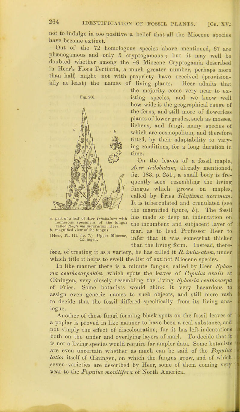 IDENTIFICATION OF FOSSIL PLANTS. [Ch. XV. not to indulge in too positive a belief that all the Miocene species have become extinct. Out of the 72 homologous species above mentioned, 67 are phamogamous and only 5 cryptogamous ; but it may well be doubted whether among the 49 Miocene Cryptogamia described in Heer’s Flora Tertiaria, a much greater number, perhaps more than half, might not with propriety have received (provision- ally at least) the names of living plants. Heer admits that the majority come very near to ex- species, and we know well Fig. 206. isttng how wide is the geographical range of the ferns, and still more of flowerless plants of lower grades, such as mosses, lichens, and fungi, many species of which are cosmopolitan, and therefore fitted, by their adaptability to vary- ing conditions, for a long duration in time. On the leaves of a fossil maple, Acer trilobatum, already mentioned, fig. 183. p. 251., a small body is fre- quently seen resembling the living fungus which grows on maples, called by Fries Rhytisma acerinum. It is tuberculated and erenulated (see the magnified figure, b). The fossil a. part of a leaf of Acev trilobatum with has made so deep an indentation on incumbent and subjacent layer of b. magnified view of the fungus. marl as to lead Professor Heer to (Heer, pi. 11J-^;17g)enUpper Mlocene> }nfer that it was somewhat thicker than the living form. Instead, there- fore, of treating it as a variety, he has called it R. induratum, under which title it helps to swell the list of extinct Miocene species. In like manner there is a minute fungus, called by Heer Sp/iaz- ria ceuthocarpoides, which spots the leaves of Populus ovalis at (Eningen, very closely resembling the living Sphceria ceutliocarpa of Fries. Some botanists would think it very hazardous to assign even genei’ic names to such objects, and still more rash to decide that the fossil differed specifically from its living ana- logue. Another of these fungi forming black spots on the fossil leaves of a poplar is proved in like manner to have been a real substance, and not simply the effect of discolouration, for it has left indentations both on the under and overlying layers of marl. To decide that it is not a living species would require far ampler data. Some botanists are even uncertain whether as much can be said of the Populus lalior itself of (Eningen, on which the fungus grew, and of which seven-varieties are described by Heer, some of them coming very vear to the Populus monilifera of North America.