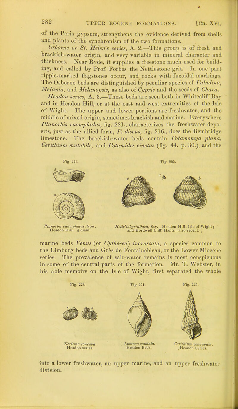 of the Paris gypsum, strengthens the evidence derived from shells and plants of the synchronism of the two formations. Osborne or St. Helen's series, A. 2.—This group is of fresh and brackish-water origin, and very variable in mineral character and thickness. Near Ryde, it supplies a freestone much used for build- ing, and called by Prof. Forbes the Nettlestone grit. In one part ripple-marked flagstones occur, and rocks with fucoidal markings. The Osborne beds are distinguished by peculiar species of Paludina, Melania, and Melanopsis, as also of Cypris and the seeds of Chara. Headon series, A. 3.—These beds are seen both in Whitecliff Bay and in Headon Hill, or at the east and west extremities of the Isle of Wight. The upper and lower portions are freshwater, and the middle of mixed origin, sometimes brackish and marine. Everywhere Planorbis euomphalus, fig. 221., characterizes the freshwater depo- sits, just as the allied form, P. discus, fig. 216., does the Bembridge limestone. The brackish-water beds contain Potamomya plana, Cerithium rnutabile, and Potamides cinctus (fig. 44. p. 30.), and the Fig.221. Fig. 222. Planorbis euoinphalus, Sow. Headon Hill, a diam. Helix'labyrinthica, Say. Headon Hill, Isle of Wight; and Hordwell Cliff, Hants—also recent. . marine beds Venus (or Cytherea) incrassata, a species common to the Limburg beds and Gres de Fontainebleau, or the Lower Miocene series. The prevalence of salt-water remains is most conspicuous in some of the central parts of the formation. Mr. T. Webster, in his able memoirs on the Isle of Wight, first separated the whole Fig. 223. Ncritina concava. Headon series. Fig. 224. Lymnca candata. Headon Beds. Fig. 225. Cerithium cone arum. . Headon Series. into a lower freshwater, an upper marine, and an upper freshwater division.