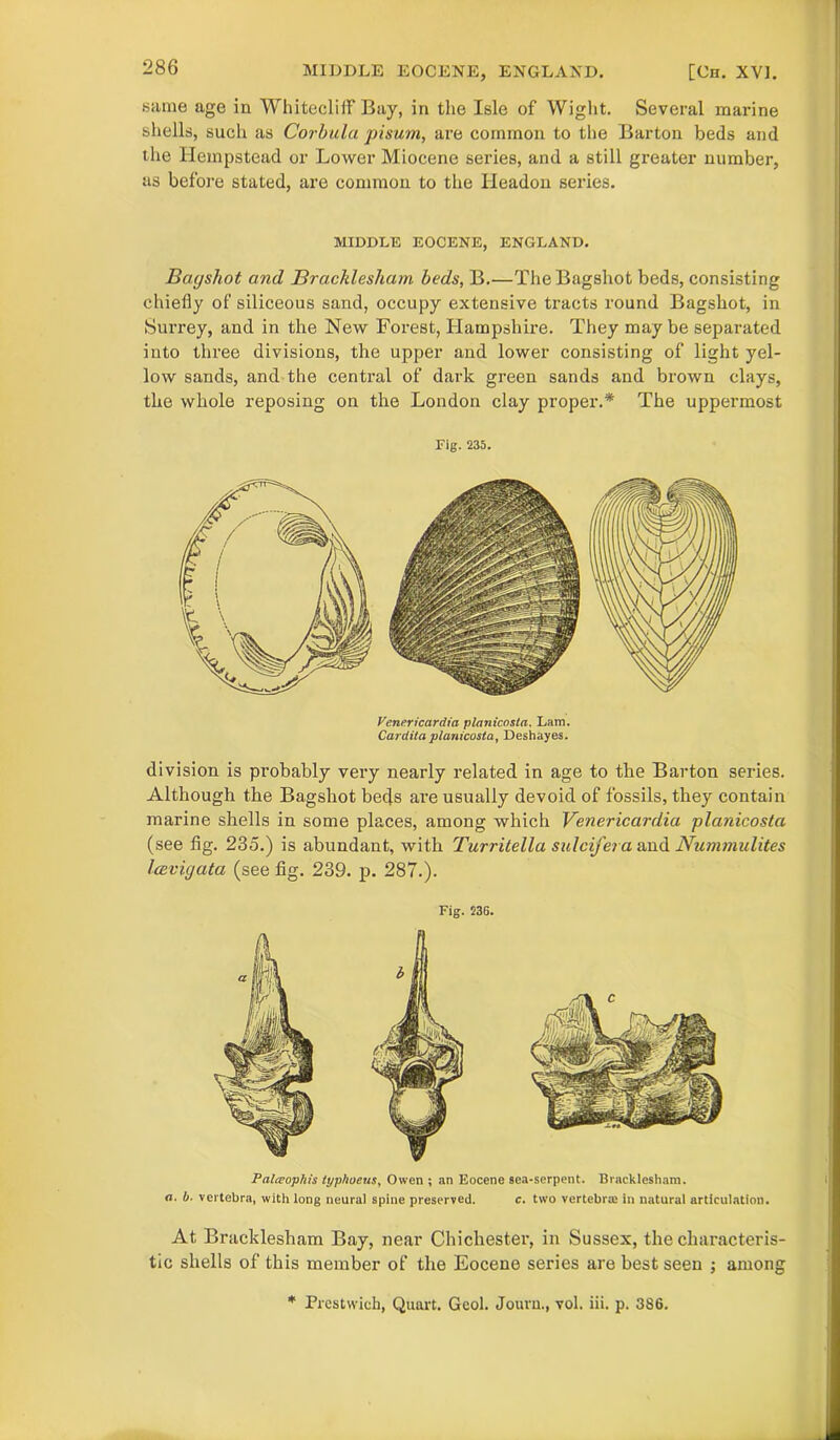 MIDDLE EOCENE, ENGLAND. [Ch. XVI. same age in Whitecliif Bay, in the Isle of Wight. Several marine shells, such as Corbula pisum, are common to the Barton beds and the Hempstead or Lower Miocene series, and a still greater number, as before stated, are common to the Headon series. MIDDLE EOCENE, ENGLAND. Bagshot and Bracklesham beds, B.—TheBagshot beds, consisting chiefly of siliceous sand, occupy extensive tracts round Bagshot, in Surrey, and in the New Forest, Hampshire. They may be separated into three divisions, the upper and lower consisting of light yel- low sands, and the central of dark green sands and brown clays, the whole reposing on the London clay proper.* The uppermost Fig. 235. Verier icardia planicosta. Lam. Cardita planicosta, Deshayes. division is probably very nearly related in age to the Barton series. Although the Bagshot beds are usually devoid of fossils, they contain marine shells in some places, among which Venericardia planicosta (see fig. 235.) is abundant, with Turritella salciferd and Nummulites laevigata (see fig. 239. p. 287.). Fig. 236. Palceophis typhoeus, Owen ; an Eocene sea-serpent. Bracklesham. a. 6. vertebra, with long neural spine preserved. c. two vertebra: in natural articulation. At Bracklesham Bay, near Chichester, in Sussex, the characteris- tic shells of this member of the Eocene series are best seen ; among * Prestwieh, Quart. Geol. Jouvn., vol. iii. p. 386.