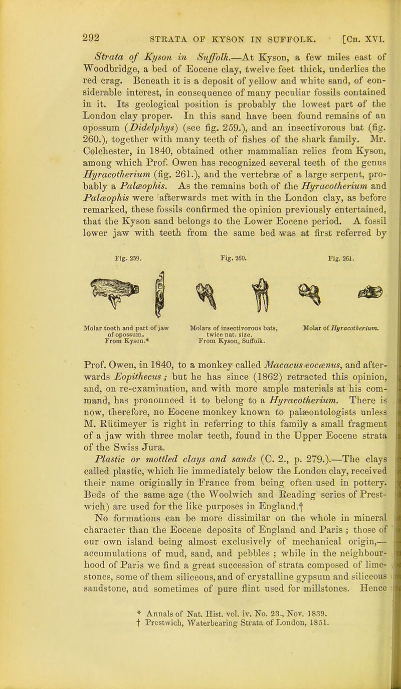 Strata of Kyson in Suffolk.—At Kyson, a few miles east of Woodbridge, a bed of Eocene clay, twelve feet thick, underlies the red crag. Beneath it is a deposit of yellow and white sand, of con- siderable interest, in consequence of many peculiar fossils contained in it. Its geological position is probably the lowest part of the London clay proper. In this sand have been found remains of an opossum (Didelpliys) (see fig. 259.), and an insectivorous bat (fig. 260.), together with many teeth of fishes of the shark family. Mr. Colchester, in 1840, obtained other mammalian relics from Kyson, among which Prof. Owen has recognized several teeth of the genus Hyracotherium (fig. 261.), and the vertebrae of a large serpent, pro- bably a Palceophis. As the remains both of the Ilyracotherium and Palceophis were 'afterwards met with in the London clay, as before remarked, these fossils confirmed the opinion previously entertained, that the Kyson sand belongs to the Lower Eocene period. A fossil lower jaw with teeth from the same bed was at first referred by Fig. 259. Fig. 260. Fig. 261. Prof. Owen, in 1840, to a monkey called Macacus eoccenus, and after- wards Eopithecus; but he has since (1862) retracted this opinion, and, on re-examination, and with more ample materials at his com- mand, has pronounced it to belong to a Hyracotherium. There is now, therefore, no Eocene monkey known to palseontologists unless M. Riitimeyer is right in referring to this family a small fragment of a jaw with three molar teeth, found in the Upper Eocene strata of the Swiss Jura. Plastic or mottled clays and sands (C. 2., p. 279.).—The clays called plastic, which lie immediately below the London clay, received their name originally in France from being often used in pottery. Beds of the same age (the Woolwich and Beading series of Prest- wich) are used for the like purposes in England, j No formations can be more dissimilar on the whole in mineral character than the Eocene deposits of England and Paris ; those of our own island being almost exclusively of mechanical origin,— accumulations of mud, sand, and pebbles ; while in the neighbour- hood of Paris we find a great succession of strata composed of lime- stones, some of them siliceous, and of crystalline gypsum and siliceous sandstone, and sometimes of pure flint used for millstones. Hence Molar tooth and part of jaw ol' opos6um. From Kyson.* Molars of insectivorous bats, twice nat. size. From Kyson, Suffolk. Molar of Hyracotherium. * Annals of Nat. Hist. vol. iv. No. 23., Nov. 1839. t Prestwich, Waterbearing Strata of London, 1851.