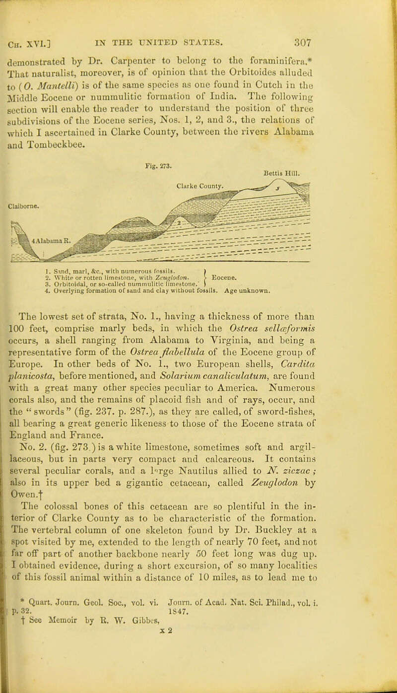 demonstrated by Dr. Carpenter to belong to the foraminifera.* That naturalist, moreover, is of opinion that the Orbitoides alluded to (0. Mantelli) is of the same species as one found in Cutch in the Middle Eocene or nummulitic formation of India. The following section will enable the reader to understand the position of three subdivisions of the Eocene series, Nos. 1, 2, and 3., the relations of which I ascertained in Clarke County, between the rivers Alabama and Tombeckbee. Fig. 273. Bettis Hill. Clarke County. Claiborne. 1. Sand, marl, &c., with numerous fossils. 2. White or rotten limestone, with Zen^lodon 3. Orbitoidal, or so-called nummulitic limestone 4. Overiying formation of sand and clay without fossils • I Eocene. Age unknown. The lowest set of strata, No. 1., having a thickness of more than 100 feet, comprise marly beds, in which the Ostrea sellceformis occurs, a shell ranging from Alabama to Virginia, and being a representative form of the Ostrea flabellula of the Eocene group of Europe. In other beds of No. 1., two European shells, Cardita planicosta, before mentioned, and Solarium canaliculatum, are found with a great many other species peculiar to America. Numerous corals also, and the remains of placoid fish and of rays, occur, and the “ swords ” (fig. 237. p. 287.), as they are called, of sword-fishes, all bearing a great generic likeness to those of the Eocene strata of England and France. No. 2. (fig. 273.) is a white limestone, sometimes soft and argil- laceous, but in parts very compact and calcareous. It contains several peculiar corals, and a l'Tge Nautilus allied to N. ziczac; also in its upper bed a gigantic cetacean, called Zeuglodon by Owen/(■ The colossal bones of this cetacean are so plentiful in the in- terior of Clarke County as to be characteristic of the formation. The vertebral column of one skeleton found by Dr. Buckley at a spot visited by me, extended to the length of nearly 70 feet, and not far off part of another backbone nearly 50 feet long was dug up. I obtained evidence, during a short excursion, of so many localities of this fossil animal within a distance of 10 miles, as to lead me to * Quart. Journ. Geol. Soc., vol. vi. Joum. of Acad. Nat. Sci. Philad., vol. i. p. 32. 1S47. t See Memoir by It. W. Gibbcs, x 2