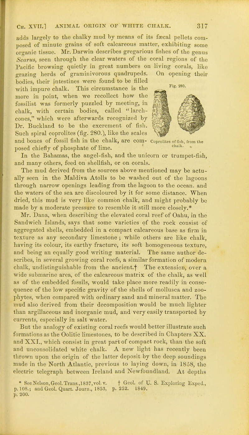 adds largely to the chalky mud by means of its faecal pellets com- posed of minute grains of soft calcareous matter, exhibiting some organic tissue. Mr. Darwin describes gregarious fishes of the genus Scarus, seen through the clear waters of the coral regions of the Pacific browsing quietly in great numbers on living corals, like grazing herds of graminivorous quadrupeds. On opening their bodies, their intestines were found to be filled with impure chalk. This circumstance is the more in point, when we recollect how the fossilist was formerly puzzled by meeting, in chalk, with certain bodies, called “ larch- cones,” which were afterwards recognized by Dr. Buckland to be the excrement of fish. Such spiral coprolites (fig. 280.), like the scales and bones of fossil fish in the chalk, are com- Coprolites offish, from the posed chiefly of phosphate of lime. In the Bahamas, the angel-fish, and the unicorn or trumpet-fish, and many others, feed on shellfish, or on corals. The mud derived from the sources above mentioned may be actu- ally seen in the Maldiva Atolls to be washed out of the lagoons through narrow openings leading from the lagoon to the ocean, and the waters of the sea are discoloured by it for some distance. When dried, this mud is very like common chalk, and might probably be made by a moderate pressure to resemble it still more closely.* Mr. Dana, when describing the elevated coral reef of Oahu, in the Sandwich Islands, says that some varieties of the rock consist of aggregated shells, embedded in a compact calcareous base as firm in texture as any secondary limestone ; while others are like chalk, having its colour, its earthy fracture, its soft homogeneous texture, and being an equally good writing material. The same author de- scribes, in several growing coral reefs, a similar formation of modern chalk, undistinguishable from the ancient.f The extension, over a wide submarine area, of the calcareous matrix of the chalk, as well as of the embedded fossils, would take place more readily in conse- quence of the low specific gravity of the shells of mollusca and zoo- phytes, when compared with ordinary sand and mineral matter. The mud also derived from their decomposition would be much lighter than argillaceous and inorganic mud, and very easily transported by currents, especially in salt water. But the analogy of existing coral reefs would better illustrate such formations as the Oolitic limestones, to be described in Chapters XX. and XXI., which consist in great part of compact rock, than the soft and unconsolidated white chalk. A new light has recently been thrown upon the origin of the latter deposit by the deep soundings made in the North Atlantic, previous to laying down, in 1858, the electric telegraph between Ireland and Newfoundland. At depths * See Nelson, Geol. Trans.,1837, vol.v. f Geol. of U. S. Exploring Exped., p. 108.; and Geol. Quart. Journ., 1853, p.252. 1849. p. 200.