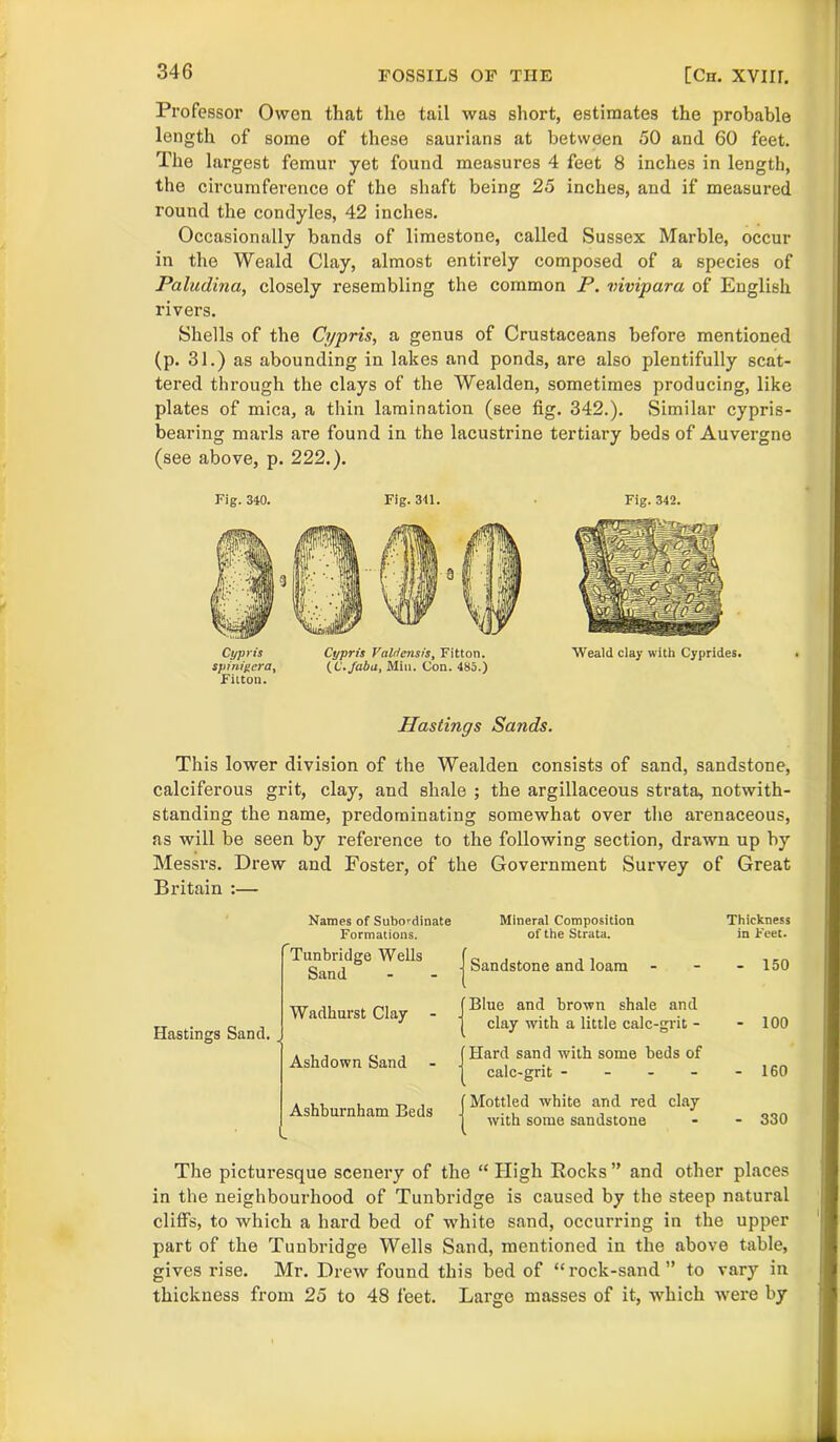 FOSSILS OF THE [Ch. xyiil Professor Owen that the tail was short, estimates the probable length of some of these saurians at between 50 and 60 feet. The largest femur yet found measures 4 feet 8 inches in length, the circumference of the shaft being 25 inches, and if measured round the condyles, 42 inches. Occasionally bands of limestone, called Sussex Marble, occur in the Weald Clay, almost entirely composed of a species of Paludina, closely resembling the common P. vivipara of English rivers. Shells of the Cypris, a genus of Crustaceans before mentioned (p. 31.) as abounding in lakes and ponds, are also plentifully scat- tered through the clays of the Wealden, sometimes producing, like plates of mica, a thin lamination (see fig. 342.). Similar cypris- bearing marls are found in the lacustrine tertiary beds of Auvergne (see above, p. 222.). Fig. 340. Fig. 341. Fig. 342. Cypris Cypris Valdensis, Fitton. Weald clay with Cyprides. spinigera, (C.fabu, Min. Con. 485.) Fitton. Hastings Sands. This lower division of the Wealden consists of sand, sandstone, calciferous grit, clay, and shale ; the argillaceous strata, notwith- standing the name, predominating somewhat over the arenaceous, as will be seen by reference to the following section, drawn up by Messrs. Drew and Foster, of the Government Survey of Great Britain :— Names of Subordinate Formations. Tunbridge Wells Sand Mineral Composition of the Strata. J Sandstone and loam Thickness in Feet. - 150 Hastings Sand. . Wadhurst Clay - Ashdown Sand Ashburnham Beds . Blue and brown shale and clay with a little calc-grit - Hard sand with some beds of calc-grit - Mottled white and red clay with some sandstone 100 160 330 The picturesque scenery of the “ High Rocks” and other places in the neighbourhood of Tunbridge is caused by the steep natural cliffs, to which a hard bed of white sand, occurring in the upper part of the Tunbridge Wells Sand, mentioned in the above table, gives rise. Mr. Drew found this bed of “rock-sand” to vary in thickness from 25 to 48 feet. Largo masses of it, which were by