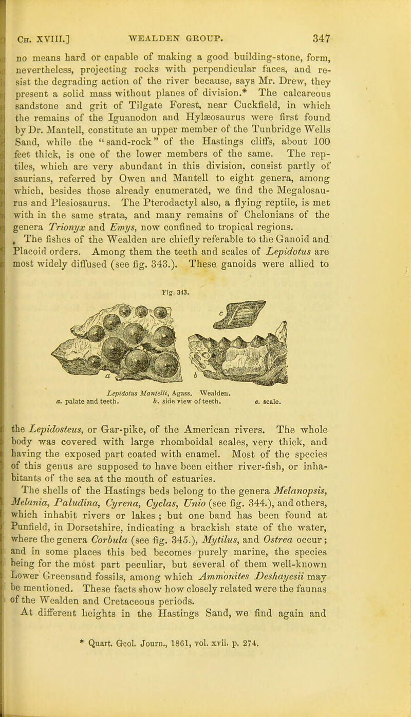 no means hard or capable of making a good building-stone, form, nevertheless, projecting rocks with perpendicular faces, and re- sist the degrading action of the river because, says Mr. Drew, they present a solid mass without planes of division.* The calcareous sandstone and grit of Tilgate Forest, near Cuckfield, in which the remains of the Iguanodon and Ilylaeosaurus were first found by Dr. Mantell, constitute an upper member of the Tunbridge Wells Sand, while the “sand-rock” of the Hastings cliffs, about 100 feet thick, is one of the lower members of the same. The rep- tiles, which are very abundant in this division, consist partly of saurians, referred by Owen and Mantell to eight genera, among which, besides those already enumerated, we find the Megalosau- rus and Plesiosaurus. The Pterodactyl also, a flying reptile, is met with in the same strata, and many remains of Chelonians of the genera Trionyx and Emys, now confined to tropical regions. , The fishes of the Wealden are chiefly referable to the Ganoid and Placoid orders. Among them the teeth and scales of Lepidotus are ; most widely diffused (see fig. 343.). These ganoids were allied to Yig. 343. Lepidotus Mantelli, Agass. Wealden. a. palate and teeth. b. side view of teeth. c. scale. the Lepidosteus, or Gar-pike, of the American rivers. The whole body was covered with large rhomboidal scales, very thick, and having the exposed part coated with enamel. Most of the species of this genus are supposed to have been either river-fish, or inha- bitants of the sea at the mouth of estuaries. The shells of the Hastings beds belong to the genera Melanopsis, Melania, Paludina, Cyrena, Cyclas, TJnio (see fig. 344.), and others, which inhabit rivers or lakes ; but one band has been found at Punfield, in Dorsetshire, indicating a brackish state of the water, where the genera Corbula (see fig. 345.), Mytilus, and Ostrea occur; and in some places this bed becomes purely marine, the species being for the most part peculiar, but several of them well-known Lower Greensand fossils, among which Ammonites Deshayesii may be mentioned. These facts show how closely related were the faunas of the Wealden and Cretaceous periods. At different heights in the Hastings Sand, we find again and * Quart. Geol. Journ., 1861, vol. xvii. p. 274.