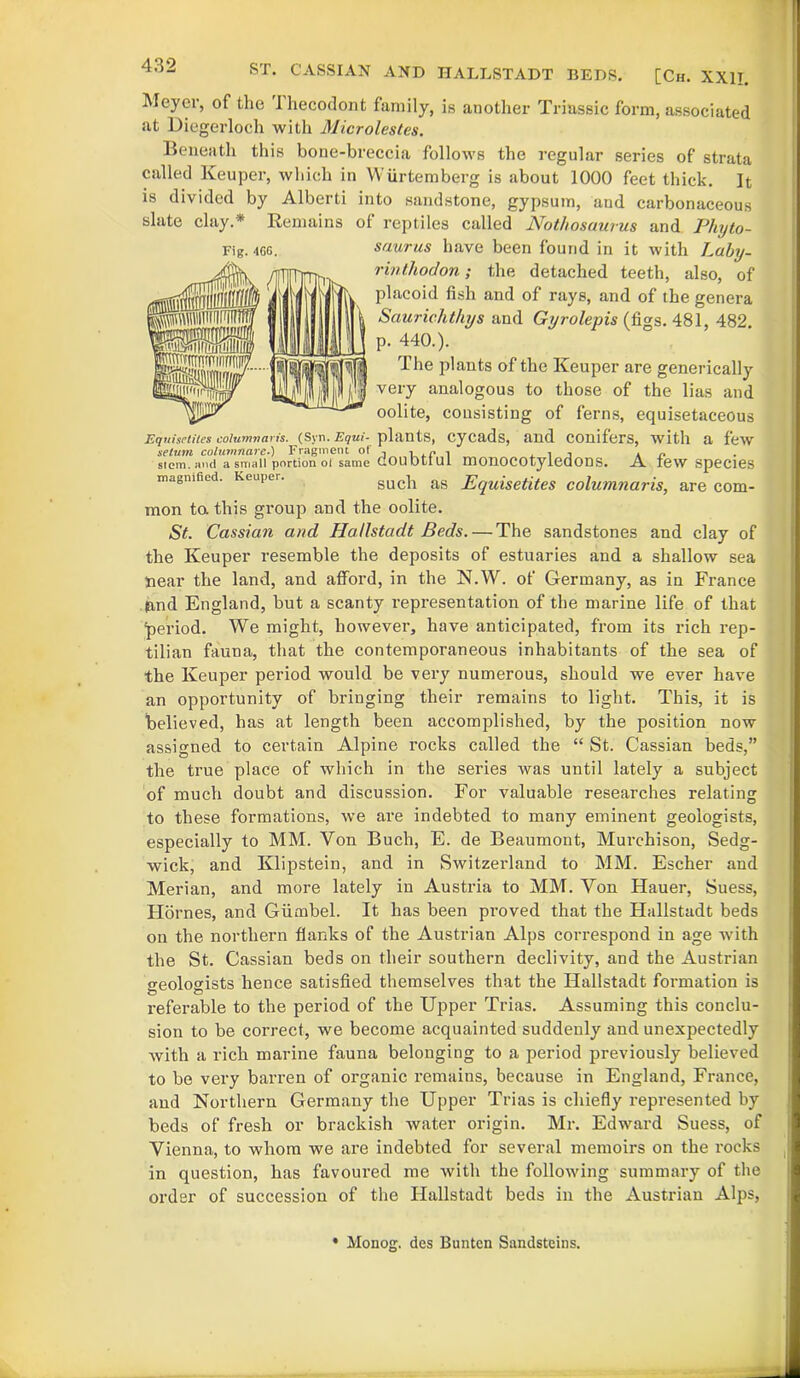 ST. CASSIAN AND HALLSTADT BEDS. [Ch. XXII. Meyer, of the Ihecodont family, is another Triassic form, associated at Diegerloch with Microlestes. Beneath this bone-breccia follows the regular series of strata called Keuper, which in Wiirtemberg is about 1000 feet thick. It is divided by Alberti into sandstone, gypsum, and carbonaceous slate clay.* Remains of reptiles called Nothosaurus and Phyto- saurus have been found in it with Laby- rinthodon; the detached teeth, also, of placoid fish and of rays, and of the genera Saurichthys and Gyrolepis (figs. 481, 482. p. 440.). The plants of the Keuper are generically very analogous to those of the lias and oolite, consisting of ferns, equisetaceous Equisetites columnaris. (Syn. Equi- plants, CyCads seturn columnare.) Fragment of , , c , , , , stem, and a small portion of same GOUDtlUl monocotyledons, magnified. Keuper. such and conifers, with a few A few species as Equisetites columnaris, are com- mon to. this group and the oolite. St. Cassian and Hallstadt Beds. — The sandstones and clay of the Keuper resemble the deposits of estuaries and a shallow sea near the land, and aflford, in the N.W. of Germany, as in France land England, but a scanty representation of the marine life of that period. We might, however, have anticipated, from its rich rep- tilian fauna, that the contemporaneous inhabitants of the sea of the Keuper period would be very numerous, should we ever have an opportunity of bringing their remains to light. This, it is believed, has at length been accomplished, by the position now assigned to certain Alpine rocks called the “ St. Cassian beds,” the true place of which in the series was until lately a subject of much doubt and discussion. For valuable researches relating to these formations, we are indebted to many eminent geologists, especially to MM. Von Buch, E. de Beaumont, Murchison, Sedg- wick, and Klipstein, and in Switzerland to MM. Escher and Merian, and more lately in Austria to MM. Yon Hauer, Suess, Hornes, and Giimbel. It has been proved that the Hallstadt beds on the northern flanks of the Austrian Alps correspond in age with the St. Cassian beds on their southern declivity, and the Austrian geologists hence satisfied themselves that the Hallstadt formation is referable to the period of the Upper Trias. Assuming this conclu- sion to be correct, we become acquainted suddenly and unexpectedly Avith a rich marine fauna belonging to a period previously believed to be very barren of organic remains, because in England, France, and Northern Germany the Upper Trias is chiefly represented by beds of fresh or brackish Avater origin. Mr. Edward Suess, of Vienna, to whom we are indebted for several memoirs on the rocks in question, has favoured me Avith the following summary of the order of succession of the Hallstadt beds in the Austrian Alps, Monog. des Buntcn Sandsteins.