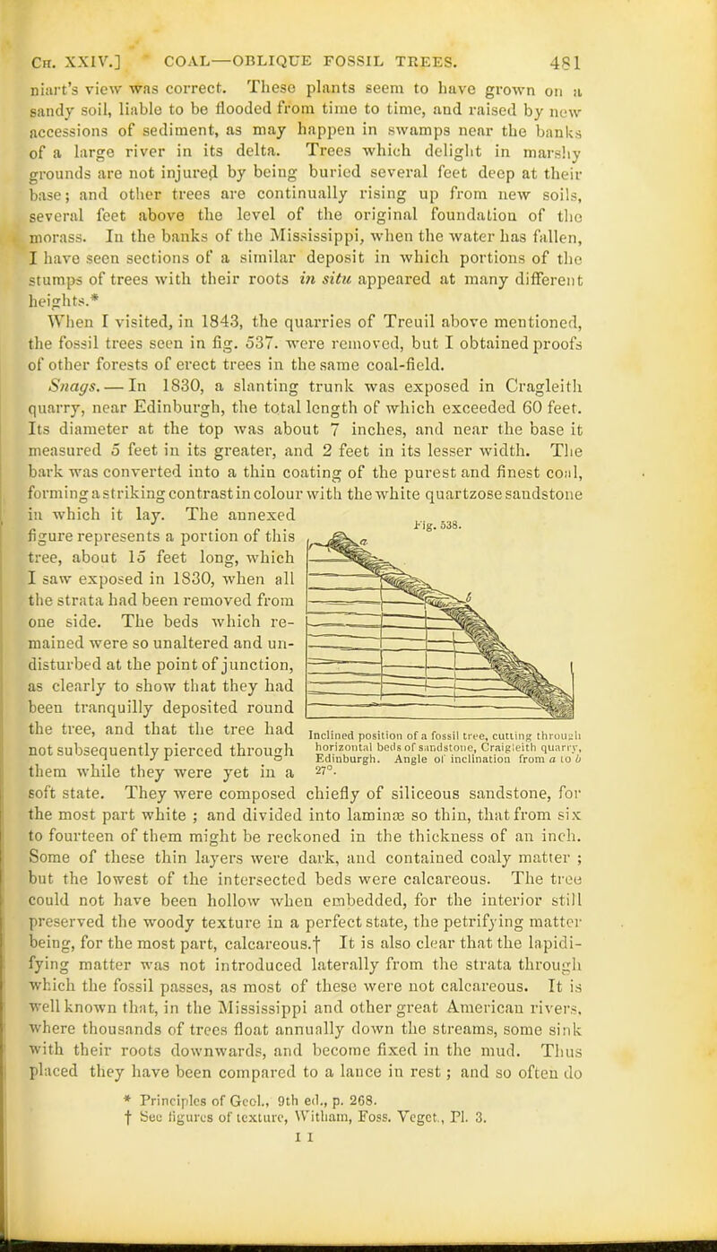 mart’s view was correct. These plants seem to have grown on a sandy soil, liable to be flooded from time to time, and raised by new accessions of sediment, as may happen in swamps near the banks of a large river in its delta. Trees which delight in marshy grounds are not injured by being buried several feet deep at then- base; and other trees are continually rising up from new soils, several feet above the level of the original foundation of the morass. In the banks of the Mississippi, when the water has fallen, I have seen sections of a similar deposit in which portions of the stumps of trees with their roots in situ appeared at many different heights.* When I visited, in 1843, the quarries of Treuil above mentioned, the fossil trees seen in fig. 537. were removed, but I obtained proofs of other forests of erect trees in the same coal-field. Snags. — In 1830, a slanting trunk was exposed in Cragleith quarry, near Edinburgh, the total length of which exceeded 60 feet. Its diameter at the top was about 7 inches, and near the base it measured 5 feet in its greater, and 2 feet in its lesser width. The bark was converted into a thin coating of the purest and finest coal, forming a striking contrast in colour with the white quartzose sandstone in which it lay. The annexed figure represents a portion of this ~ tree, about 15 feet long, which I saw exposed in 1830, when all the strata had been removed from one side. The beds which re- mained were so unaltered and un- disturbed at the point of junction, as clearly to show that they had been tranquilly deposited round the tree, and that the tree had not subsequently pierced through them while they were yet in a soft state. They were composed chiefly of siliceous sandstone, for the most part white ; and divided into laminae so thin, that from six to fourteen of them might be reckoned in the thickness of an inch. Some of these thin layers were dark, and contained coaly matter ; but the lowest of the intersected beds were calcareous. The tree could not have been hollow when embedded, for the interior still preserved the -woody texture in a perfect state, the petrifying matter being, for the most part, calcareous.f It is also clear that the lapidi- fying matter -was not introduced laterally from the strata through which the fossil passes, as most of these were not calcareous. It is well known that, in the Mississippi and other great American rivers, where thousands of trees float annually down the streams, some sink with their roots downwards, and become fixed in the mud. Thus placed they have been compared to a lance in rest; and so often do * Principles of Gcol., 9th ed., p. 268. f bee figures of texture, Witliam, Foss. Vegct., PI. 3. Inclined position of a fossil tree, cutting through horizontal beds of sandstone, Craigleith quarry, Edinburgh. Angle of inclination from a to b 27°.