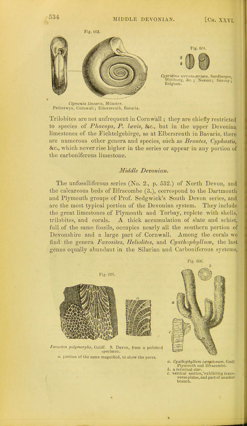 MIDDLE DEVONIAN. [Cu. XXVI. Fig. 003. Clymenia linearis, Munster. Petherwyu, Cornwall; ElbersreutIt, Bavaria. Fig. 604. 'ypridinu scrrnlo-striata, Sandberper, Weilburg, &c. ; Nassau; Saxony; Belgium. Trilobites tire not unfrequent in Cornwall; they are chiefly restricted to species of Phacops, P. Icevis, &c., but in the upper Devonian limestones of the Fichtelgebirge, as at Elbersreuth in Bavaria, there are numerous other genera and species, such as Brontes, Cyphastis, See., which never rise higher in the series or appear in any portion of the carboniferous limestone. Middle Devonian. The unfossiliferous series (No. 2., p. 532.) of North Devon, and the calcareous beds of Ilfracombe (3.), correspond to the Dartmouth and Plymouth groups of Prof. Sedgwick’s South Devon series, and are the most typical portion of the Devonian system. They include the great limestones of Plymouth and Torbay, replete with shells, trilobites, and corals. A thick accumulation of slate and schist, full of the same fossils, occupies nearly all the southern portion of Devonshire and a large part of Cornwall. Among the corals we find the genera Favosites, Heliolites, and Cyathophyllum, the last genus equally abundant in the Silurian and Carboniferous systems, Fig. 606. b a. Cyathophyllum civspitosum, Godf. Plymouth and Ilfracombe. b. a terminal star. c. vertical section,'exhibiting trans- verse plates, and part of another branch.