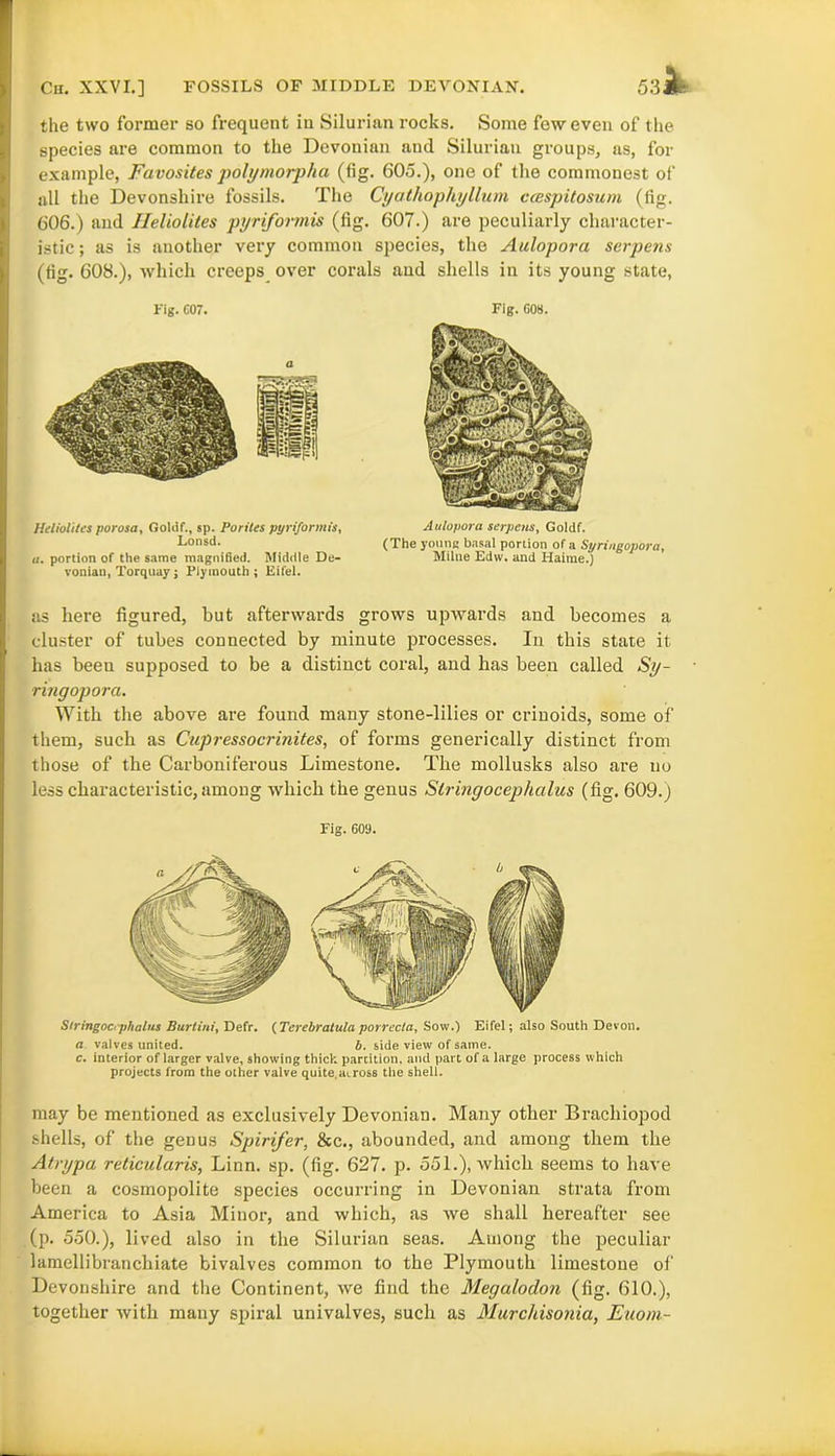 53 Cn. XXVI.] FOSSILS OF MIDDLE DEVONIAN. the two former so frequent in Silurian rocks. Some few even of the species are common to the Devonian and Silurian groups, as, for example, Favosites polymorpha (fig. 605.), one of the commonest of all the Devonshire fossils. The Cyathophyllum ccespitosum (fig. 606.) and Heliolites pyriformis (fig. 607.) are peculiarly character- istic ; as is another very common species, the Aulopora serpens (fig. 608.), which creeps over corals and shells in its young state. Fig. 607. Fig. 608. a Heliolites porosa, Goliif., sp. Pontes pyriformis, Lonsd. ii. portion of the same magnified. Middle De- vonian, Torquay; Plymouth j Eifel. Aulopora serpens, Goldf. (The young basal portion of a Syrineopora, Milne Edw. and Haime.) as here figured, but afterwards grows upwards and becomes a cluster of tubes connected by minute processes. In this state it has been supposed to be a distinct coral, and has been called Sy~ ringopora. With the above are found many stone-lilies or criuoids, some of them, such as Cupressocrinites, of forms generically distinct from those of the Carboniferous Limestone. The mollusks also are no less characteristic, among which the genus Slringocephalus (fig. 609.) Fig. 609. Siringoc< phalus Burtini, Defr. (Terebratulci porrecta. Sow.) Eifel; also South Devon. a valves united. b. side view of same. c. interior of larger valve, showing thick parcition. and part of a large process which projects from the other valve quite.across the shell. may be mentioned as exclusively Devonian. Many other Bracliiopod shells, of the genus Spirifer, &c., abounded, and among them the Atrypa reticularis, Linn. sp. (fig. 627. p. 551.), which seems to have been a cosmopolite species occurring in Devonian strata from America to Asia Miuor, and which, as we shall hereafter see (p. 550.), lived also in the Silurian seas. Among the peculiar lamellibranchiate bivalves common to the Plymouth limestone of Devonshire and the Continent, we find the Megalodon (fig. 610.), together with many spiral univalves, such as Murchisonia, Euom-