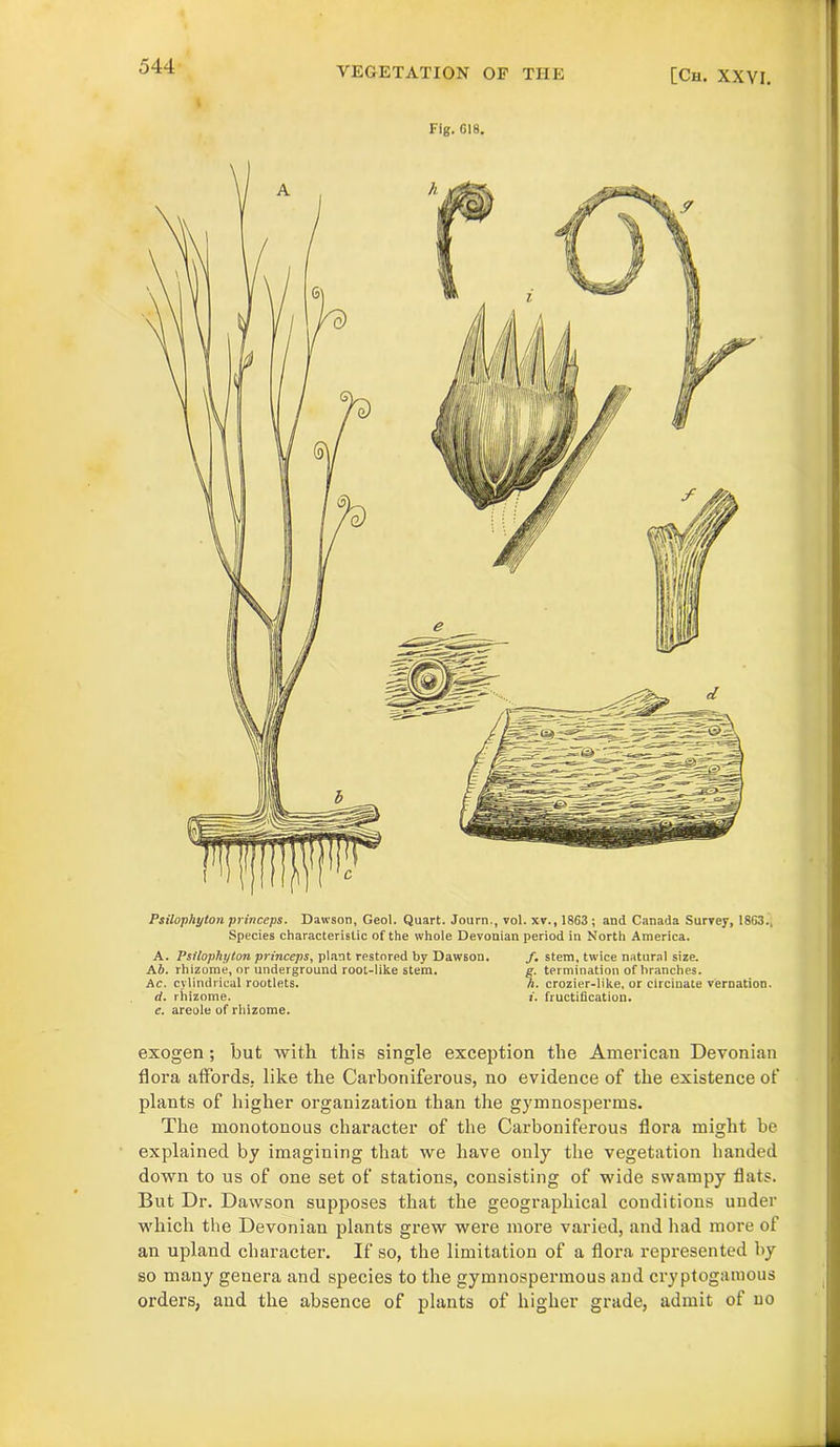 Fig. 618. Psilophyton princeps. Dawson, Geol. Quart. Journ., vol. xv., 1863 ; and Canada Survey, 1863., Species characteristic of the whole Devonian period in North America. A. Psilophyton princeps, plant restored by Dawson. /. stem, twice natural size. Ab. rhizome, or underground root-like stem. g. termination of branches. Ac. cylindrical rootlets. h. crozier-like, or circinate vernation. d. rhizome. i. fructification. e. areole of rhizome. exogen; but with this single exception the Amei'ican Devonian flora affords., like the Carboniferous, no evidence of the existence of plants of higher organization than the gymnosperms. The monotonous character of the Carboniferous flora might be explained by imagining that we have only the vegetation handed down to us of one set of stations, consisting of wide swampy flats. But Dr. Dawson supposes that the geographical conditions under which the Devonian plants grew were more varied, and had more of an upland character. If so, the limitation of a flora represented by so many genera and species to the gymnospermous and cryptogaiuous orders, and the absence of plants of higher grade, admit of no