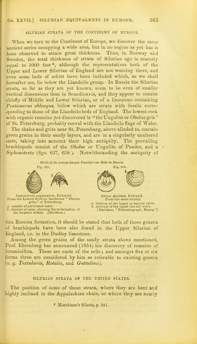 SILURIAN STRATA OF THE CONTINENT OF EUROPE. When we turn to the Continent of Europe, we discover the same ancient series occupying a wide area, but in no region as yet has it been observed to attain great thickness. Thus, in Norway aiid Sweden, the total thickness of strata of Silurian age is scarcely equal to 1000 feet*, although the representatives both of the Upper and Lower Silurian of England are not wanting there, and even some beds of schist have been included which, as we shall hereafter see, lie below the Llandeilo group. In Russia the Silurian strata, so far as they are yet known, seem to be even of smaller vertical dimensions than in Scandinavia, and they appear to consist chiefly of Middle and Lower Silurian, or of a limestone containing Pentamerus oblongus, below which are strata with fossils corre- sponding to those of the Llandeilo beds of England. The lowest rock with organic remains yet discovered Is “theUngulite or Obolus grit'’ of St. Petersburg, probably coeval with the Llandeilo flags of Wales. The shales and grits near St. Petersburg, above alluded to, contain green grains in their sandy layers, and are in a singularly unaltered state, taking into account their high antiquity. The prevailing brachiopods consist of the Obolus or Ungulite of Pander, and a Siphonotreta (figs. 657, 658.). Notwithstanding the antiquity of Shells of the lowest known Fossiliferous Beds in Bussia. Fig. 657. Siphonotreta unguiculnta, Eichwald. From the Lowest Silurian Sandstone “ Obolus grits,” of Petersburg. a. outside of perforated valve. b. interior of same, showing the termination of the foramen within. (Davidson.) Fig.658. Obolus Apollinis, Eichwald. From the same locality. a. interior of the larger or ventral valve. b. exterior of the upper (dorsal) valve. (Davidson, “ Palaeontograph. Monog.”) this Russian formation, it should be stated that both of these genera of brachiopods have been also found in the Upper Silurian of England, i.e. in the Dudley limestone. Among the green grains of the sandy strata above mentioned, Prof. Ehrenberg has announced (1854) his discovery of remains of loraminifera. These are casts of the cells; and amongst five or six forms three are considered by him as referable to existing genera (e. g. Textularia, Rotalia, and Guttulina). SILURIAN STRATA OF THE UNITED STATES. The position of some of these strata, where they are bent and highly inclined in the Appalachian chain, or where they are nearly * Murchison’s Siluria, p. 321.