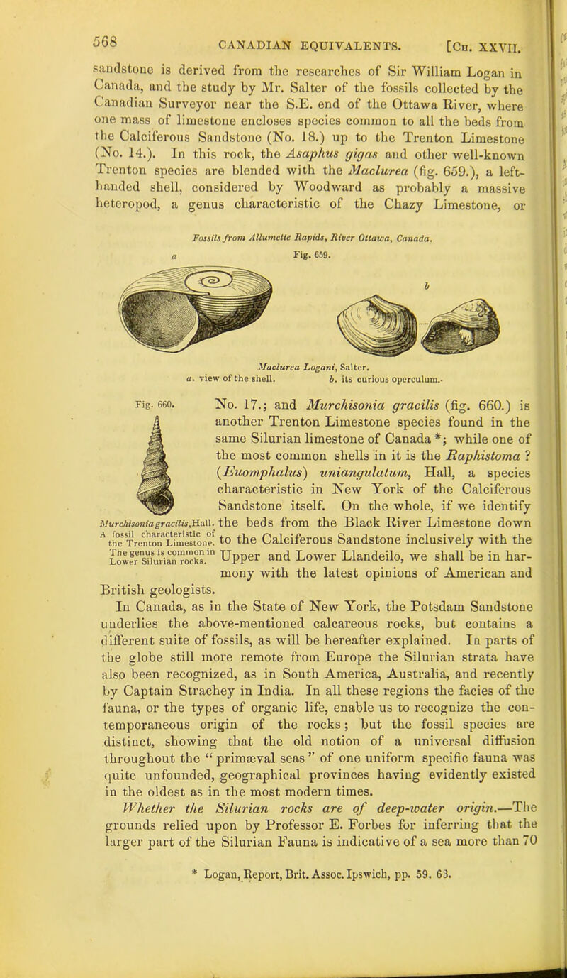 sandstone is derived from the researches of Sir William Logan in Canada, and the study by Mr. Salter of the fossils collected by the Canadian Surveyor near the S.E. end of the Ottawa River, where one mass of limestone encloses species common to all the beds from the Calciferous Sandstone (No. 18.) up to the Trenton Limestone (No. 14.). In this rock, the Asaphus gigas and other well-known Trenton species are blended with the Maclurea (fig. 659.), a left- handed shell, considered by Woodward as probably a massive heteropod, a genus characteristic of the Chazy Limestone, or Fossils from Allumctte Rapids, River Ottawa, Canada. Fig. 659. Maclurea Logani, Salter. a. view of the shell. b. its curious operculum.- Fig. 660. No. 17.; and Murchisonia gracilis (fig. 660.) is another Trenton Limestone species found in the same Silurian limestone of Canada *; while one of the most common shells in it is the Raphistoma ? (Euomphalus) uniangulatum, Hall, a species characteristic in New York of the Calciferous Sandstone itself. On the whole, if we identify Murchisonia gracilis,Ha\\. the beds from the Black River Limestone down A theMTremonaLfmestone!' to the Calciferous Sandstone inclusively with the Lower s^iVrianTocks.111 Upper and Lower Llandeilo, we shall be in har- mony with the latest opinions of American and British geologists. In Canada, as in the State of New York, the Potsdam Sandstone underlies the above-mentioned calcareous rocks, but contains a different suite of fossils, as will be hereafter explained. In parts of the globe still more remote from Europe the Silurian strata have also been recognized, as in South America, Australia, and recently by Captain Strachey in India. In all these regions the facies of the fauna, or the types of organic life, enable us to recognize the con- temporaneous origin of the rocks; but the fossil species are distinct, showing that the old notion of a universal diffusion throughout the “ primasval seas ” of one uniform specific fauna was quite unfounded, geographical provinces having evidently existed in the oldest as in the most modern times. Whether the Silurian rocks are of deep-toater origin.—The grounds relied upon by Professor E. Forbes for inferring that the larger part of the Silurian Fauna is indicative of a sea more than 70 * Logan, Report, Brit. Assoc. Ipswich, pp. 59. 63. '