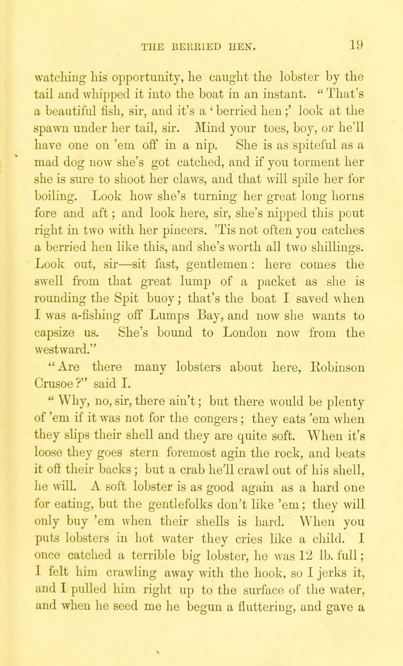 watching his opportunity, he caught the lobster by the tail and whipped it into the boat in an instant. “ That’s a beautiful fish, sir, and it’s a ‘ berried henlook at the spawn under her tail, sir. Mind your toes, boy, or he’ll have one on ’em off in a nip. She is as spiteful as a mad dog now she’s got catched, and if you torment her she is sure to shoot her claws, and that will spile her for boiling. Look how she’s turning her great long horns fore and aft; and look here, sir, she’s nipped this pout right in two with her pincers. ’Tis not often you catches a berried hen like this, and she’s worth all two shillings. Look out, sii’—sit fast, gentlemen: here comes the swell from that great lumjj of a packet as she is roimding the Spit buoy; that’s the boat I saved when I was a-fishing off Lumps Bay, and now she wants to capsize us. She’s boimd to London now from the westward.” “Are there many lobsters about here, Kobinson Crusoe ?” said I. “ Why, no, sir, there ain’t; but there would be plenty of ’em if it was not for the congers; they eats ’em Avhen they shps their shell and they are quite soft. When it’s loose they goes stern foremost agin the rock, and beats it off their backs; but a crab he’ll crawl out of his shell, he wiU. A soft lobster is as good again as a hard one for eating, but the gentlefolks don’t like ’em; they will only buy ’em when their shells is hard. When you puts lobsters in hot water they cries like a child. I once catched a terrible big lobster, he was 12 lb. full; 1 felt him crawling away with the hook, so I jerks it, and I pulled him right up to the surface of the water, and when he seed me he begun a fluttering, and gave a