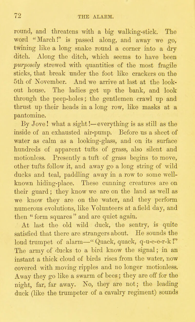 ronncl, and threatens with a big walking-stick. The word “March!” is passed along, and away we go, twining like a long snake round a corner into a dry ditch. Along the ditch, which seems to have been jyurposely strewed with quantities of the most fragile sticks, that break under the foot like crackers on the 5th of November. And we arrive at last at the look- out house. The ladies get up the bank, and look thi’ough the peep-holes; the gentlemen crawl up and thrust up their heads in a long row, like masks at a pantomine. By Jove 1 what a sight I—everything is as still as the inside of an exhausted air-pump. Before us a sheet of water as calm as a looking-glass, and on its surface hundreds of apparent tufts of grass, also silent and motionless. Presently a tuft of grass begins to move, other tufts follow it, and away go a long string of wild ducks and teal, paddling away in a row to some well- known hiding-place. These cunning creatures are on their guard; they know we are on the land as well as we know they are on the water, and they perform numerous evolutions, like Volunteers at afield day, and then “ form squares ” and are quiet again. At last the old wild duck, the sentry, is quite satisfied that there are strangers about. He sounds the loud trumpet of alarm—“ Quack, quack, q-u-e-e-r-k 1” The army of ducks to a bird know the signal; in an instant a thick cloud of birds rises from the water, now covered with moving ripples and no longer motionless. Away they go lilie a swarm of bees; they are off for the night, far, far away. No, they are not; the leading duck (like the trumpeter of a cavalry regiment) sounds