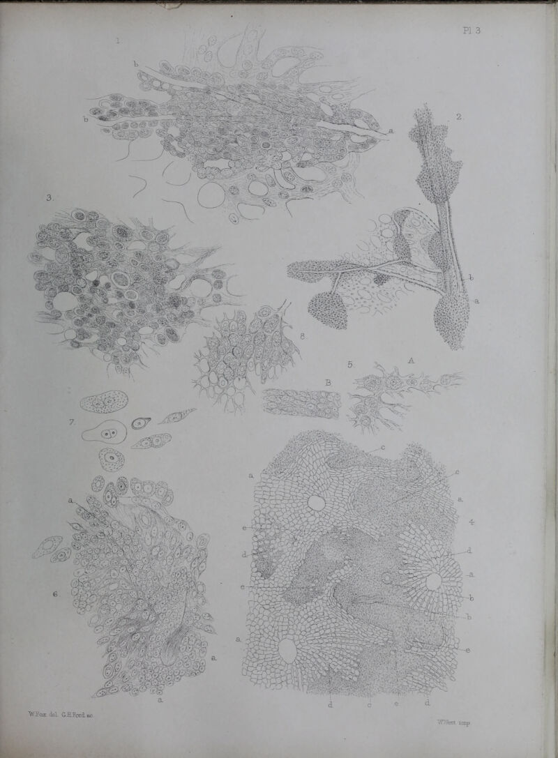 % 7> • A- >•*;.» ■ ' • m sem ■WPoz del G.HJord.ee IVVfest