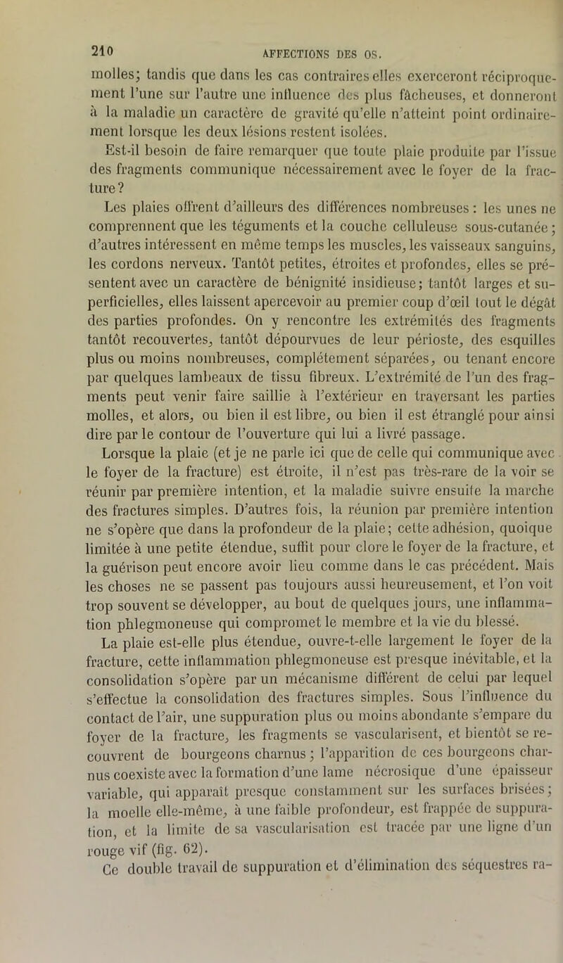 molles; tandis que dans les cas contraires elles exerceront réciproque- ment l’une sur l’autre une influence des plus fâcheuses, et donneront à la maladie un caractère de gravité qu’elle n’atteint point ordinaire- ment lorsque les deux lésions restent isolées. Est-il besoin de faire remarquer que toute plaie produite par l’issue des fragments communique nécessairement avec le foyer de la frac- ture ? Les plaies offrent d’ailleurs des différences nombreuses : les unes ne comprennent que les téguments et la couche celluleuse sous-cutanée; d’autres intéressent en même temps les muscles, les vaisseaux sanguins, les cordons nerveux. Tantôt petites, étroites et profondes, elles se pré- sentent avec un caractère de bénignité insidieuse; tantôt larges et su- perficielles, elles laissent apercevoir au premier coup d’œil tout le dégât des parties profondes. On y rencontre les extrémités des fragments tantôt recouvertes, tantôt dépourvues de leur périoste, des esquilles plus ou moins nombreuses, complètement séparées, ou tenant encore par quelques lambeaux de tissu fibreux. L’extrémité de l'un des frag- ments peut venir faire saillie à l’extérieur en traversant les parties molles, et alors, ou bien il est libre, ou bien il est étranglé pour ainsi dire par le contour de l’ouverture qui lui a livré passage. Lorsque la plaie (et je ne parle ici que de celle qui communique avec le foyer de la fracture) est étroite, il n’est pas très-rare de la voir se réunir par première intention, et la maladie suivre ensuite la marche des fractures simples. D’autres fois, la réunion par première intention ne s’opère que dans la profondeur de la plaie; cette adhésion, quoique limitée à une petite étendue, suffit pour clore le foyer de la fracture, et la guérison peut encore avoir lieu comme dans le cas précédent. Mais les choses ne se passent pas toujours aussi heureusement, et l’on voit trop souvent se développer, au bout de quelques jours, une inflamma- tion phlegmoneuse qui compromet le membre et la vie du blessé. La plaie est-elle plus étendue, ouvre-t-elle largement le foyer de la fracture, cette inflammation phlegmoneuse est presque inévitable, et la consolidation s’opère par un mécanisme différent de celui par lequel s’effectue la consolidation des fractures simples. Sous l’influence du contact de l’air, une suppuration plus ou moins abondante s’empare du foyer de la fracture, les fragments se vascularisent, et bientôt se re- couvrent de bourgeons charnus ; l’apparition de ces bourgeons char- nus coexiste avec la formation d’une lame nécrosique d’une épaisseur variable, qui apparaît presque constamment sur les surfaces brisées; la moelle elle-même, à une faible profondeur, est frappée de suppura- tion, et la limite de sa vascularisation est tracée par une ligne d’un rouge vif (fig. 62). Ce double travail de suppuration et d’élimination des séquestres ra-