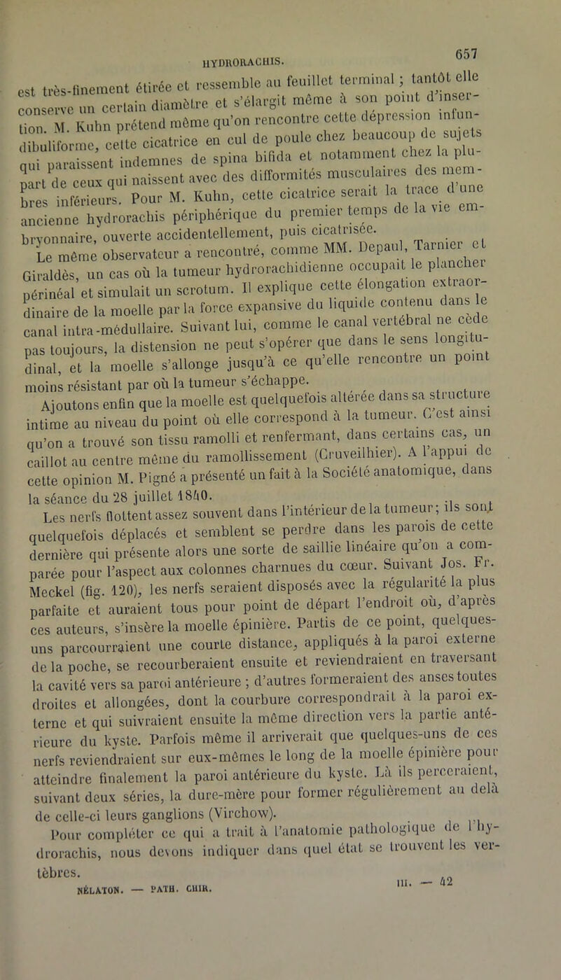 fi'îT liyDUOllACHlS. esl très-rmeraent élirée cl rcsseniblo au feuillet termiual ; tantôt elle conserve un cerlain diaraôtre et s’élargit raêroe îi son point insei- ? à Kuhn oréteiul môme qu’on rencontre cette dépréssion infun- drulLiuè ceale cicatrice en cul do poule chez beaucoup de sujets nui paraissent indemnes de spina bifida et notamment chez la p u part de ceiiz qui naissent avec des difformités bres inférieurs. Pour M. Kulin, celte cicatrice serait “ ancienne hydroraebis périphérique du premier temps de la vie cm hi’vonnaire ouverte accidentellement, puis cicatrisée. Le même observateur a rencontré, comme MM. Depaiil, Tarnier et Giraldès un cas où la tumeur hydrorachidienne occupait le planchei S etsimulait un scrotum. Il explique celte élongation extraor- dinaire de la moelle par la force expansive du liquide contenu dans e canal inlra-méduliaire. Suivant lui. comme le canal vertébral ne^oede pas toujours, la distension ne peut s’opérer que dans le sens long dinal, et la moelle s’allonge jusqu’à ce qu’elle rencontre un point moins résistant par où la tumeur s échappe. Ajoutons enfin que la moelle est quelquefois alteree dans sa structure intime au niveau du point où elle correspond à la tumeur. G est ainsi qu’on a trouvé son tissu ramolli et renfermant, dans certains cas, un caillot au centre môme du ramollissement (Cruveilhier). A 1 appui de cette opinion M. Pigné a présenté un fait à la Société anatomique, dans la séance du 28 juillet I8ti0. , , , iic ont.t Les nerfs flottent assez souvent dans l’interieur delà tumeur; ils sont quelquefois déplacés et semblent se perdre dans les parois de cette dernière qui présente alors une sorte de saillie linéaire qu on a com- parée pour l’aspect aux colonnes charnues du cœur. Suivant Jos. hi. Meckel (fig. 120), les nerfs seraient disposés avec la régularité la p us parfaite et auraient tous pour point de départ l’endroit ou, d apres ces auteurs, s’insère la moelle épinière. Partis de ce point, quelques- uns parcourraient une courte distance, appliqués à la paroi externe de la poche, se recourberaient ensuite et reviendraient en traversant la cavité vers sa paroi antérieure ; d’autres formeraient des anses toutes droites et allongées, dont la eourbure correspondrait à la paroi ex- terne et qui suivraient ensuite la môme direction vers la partie anté- rieure du kyste. Parfois même il arriverait que quelques-uns de ces nerfs reviendraient sur eux-mômes le long de la moelle épinière pour atteindre finalement la paroi antérieure du kyste. Là ils perceraient, suivant deux séries, la dure-mère pour former régulièrement au delà de celle-ci leurs ganglions (Virchow). , p, . Pour compléter ce qui a trait à ranalomie pathologique de ly- droracliis, nous devons indiquer dans (luel état se trouvent les vei- ,11. - 42 HÉLA.ÎON. — PATU. CUIR.