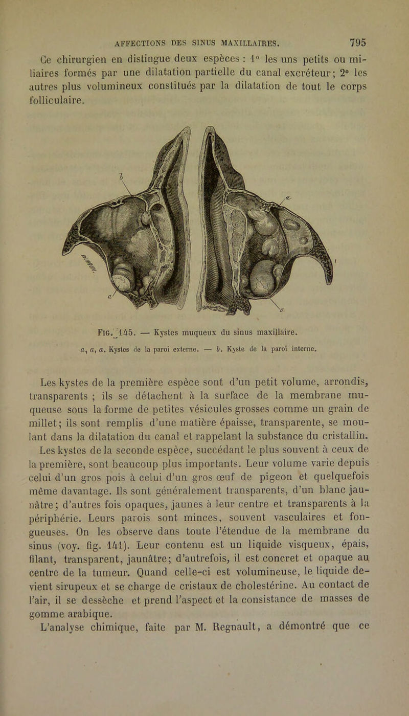 Ce chirurgien en distingue deux espèces : 1“ les uns petits ou mi- liaires formés par une dilatation partielle du canal excréteur; 2° les autres plus volumineux constitués par la dilatation de tout le corps folliculaire. Fig. 145. — Kystes muqueux du sinus maxillaire. O, a, a. Kystes He la paroi externe. — b. Kyste de la paroi interne. Les kystes de la première espèce sont d’un petit volume, arrondis, transparents ; ils se détachent à la surface de la membrane mu- queuse sous la forme de petites vésicules grosses comme un grain de millet; ils sont remplis d’une matière épaisse, transparente, se mou- lant dans la dilatation du canal et rappelant la substance du cristallin. Les kystes delà seconde espèce, succédant le plus souvent à ceux de la première, sont beaucoup plus importants. Leur volume varie depuis celui d’un gros pois à celui d’un gros œuf de pigeon et quelquefois môme davantage. Ils sont généralement transparents, d’un blanc jau- nâtre; d’autres fois opaques, jaunes à leur centre et transparents à la périphérie. Leurs parois sont minces, souvent vasculaires et fon- gueuses. On les observe dans toute l’étendue de la membrane du sinus (voy. fig. lâl). Leur contenu est un liquide visqueux, épais, filant, transparent, jaunâtre; d’autrefois, il est concret et opaque au centre de la tumeur. Quand celle-ci est volumineuse, le liquide de- vient sirupeux et se charge de cristaux de cholestérine. Au contact de l’air, il se dessèche et prend l’aspect et la consistance de masses de gomme arabique. L’analyse chimique, faite par M. Régnault, a démontré que ce