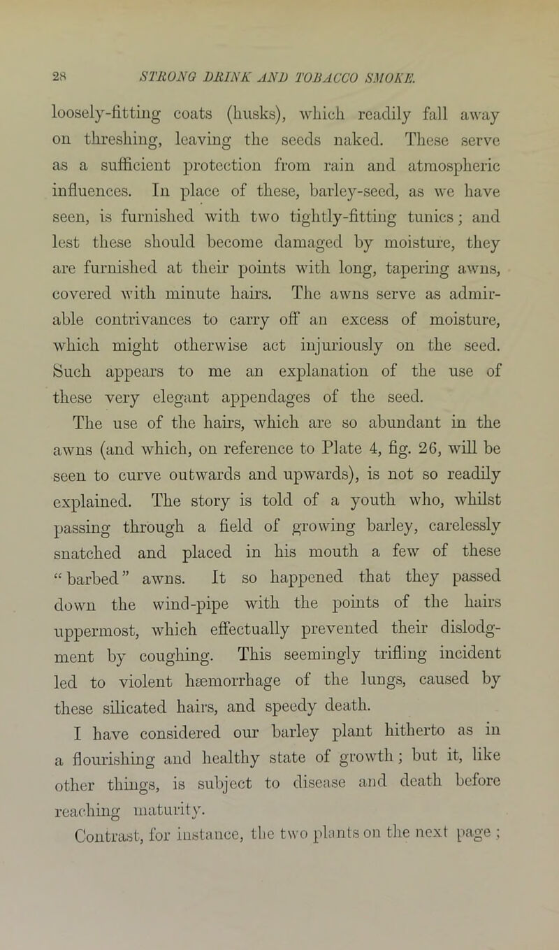 loosely-fitting coats (husks), which readily fall away on threshing, leaving the seeds naked. These serve as a sufficient protection from rain and atmospheric influences. In place of these, barley-seed, as we have seen, is furnished with two tightly-fitting tunics; and lest these should become damaged by moisture, they are furnished at their points with long, tapering awns, covered with minute hairs. The awns serve as admir- able contrivances to carry off an excess of moisture, which might otherwise act injuriously on the seed. Such appears to me an explanation of the use of these very elegant appendages of the seed. The use of the hairs, which are so abundant in the awns (and which, on reference to Plate 4, fig. 26, will be seen to curve outwards and upwards), is not so readily explained. The story is told of a youth who, whilst passing through a field of growing barley, carelessly snatched and placed in his mouth a few of these “ barbed ” awns. It so happened that they passed down the wind-pipe with the points of the hairs uppermost, which effectually prevented their dislodg- ment by coughing. This seemingly trifling incident led to violent haemorrhage of the lungs, caused by these silicated hairs, and speedy death. I have considered our barley plant hitherto as in a flourishing and healthy state of growth; but it, like other things, is subject to disease and death before reaching maturity. Contrast, for instance, the two plants on the next page ;