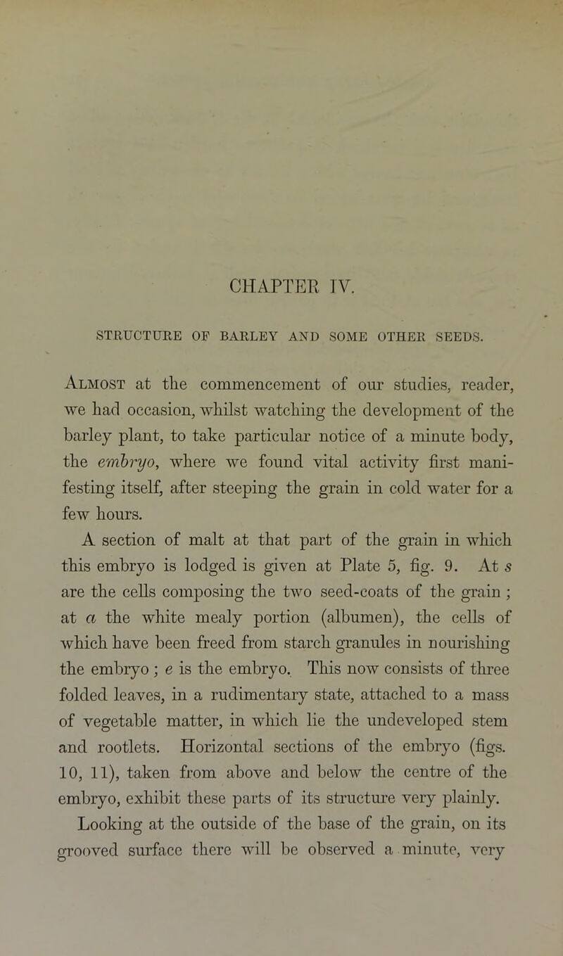 STRUCTURE OF BARLEY AND SOME OTHER SEEDS. Almost at the commencement of our studies, reader, we had occasion, whilst watching the development of the barley plant, to take particular notice of a minute body, the embryo, where we found vital activity first mani- festing itself, after steeping the grain in cold water for a few hours. A section of malt at that part of the grain in which this embryo is lodged is given at Plate 5, fig. 9. At s are the cells composing the two seed-coats of the grain ; at a the white mealy portion (albumen), the cells of which have been freed from starch granules in nourishing the embryo ; e is the embryo. This now consists of three folded leaves, in a rudimentary state, attached to a mass of vegetable matter, in which lie the undeveloped stem and rootlets. Horizontal sections of the embryo (figs. 10, 11), taken from above and below the centre of the embryo, exhibit these parts of its structure very plainly. Looking at the outside of the base of the grain, on its grooved surface there will be observed a minute, very