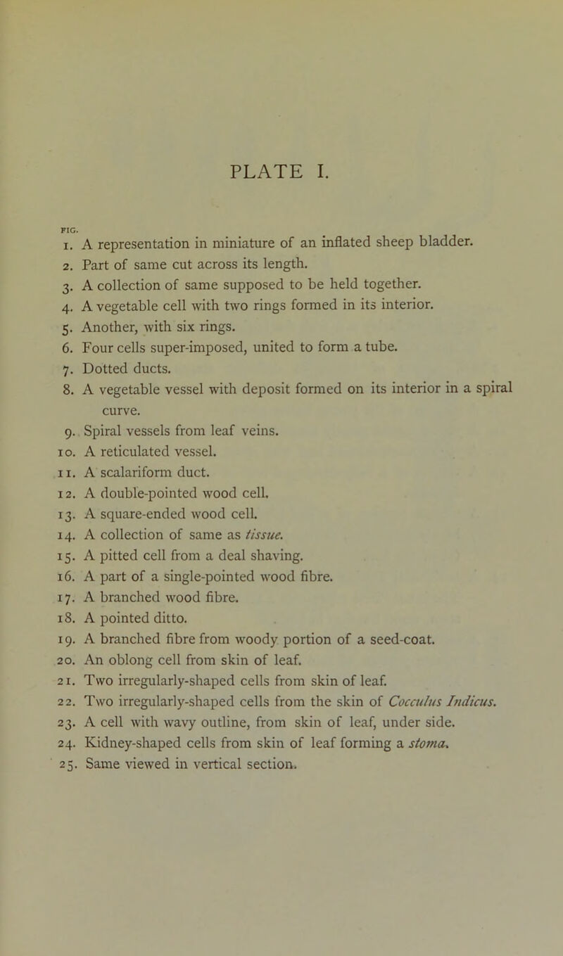 FIG. 1. A representation in miniature of an inflated sheep bladder. 2. Part of same cut across its length. 3. A collection of same supposed to be held together. 4. A vegetable cell with two rings formed in its interior. 5. Another, with six rings. 6. Four cells super-imposed, united to form a tube. 7. Dotted ducts. 8. A vegetable vessel with deposit formed on its interior in a spiral curve. 9. Spiral vessels from leaf veins. 10. A reticulated vessel. 11. A scalariform duct. 12. A double-pointed w-ood cell. 13. A square-ended wood cell. 14. A collection of same as tissue. 15. A pitted cell from a deal shaving. 16. A part of a single-pointed wood fibre. 17. A branched wood fibre. 18. A pointed ditto. 19. A branched fibre from woody portion of a seed-coat. 20. An oblong cell from skin of leaf. 21. Two irregularly-shaped cells from skin of leaf. 22. Two irregularly-shaped cells from the skin of Coccu/us Indicus. 23. A cell with wavy outline, from skin of leaf, under side. 24. Kidney-shaped cells from skin of leaf forming a stoma. 25. Same viewed in vertical section.
