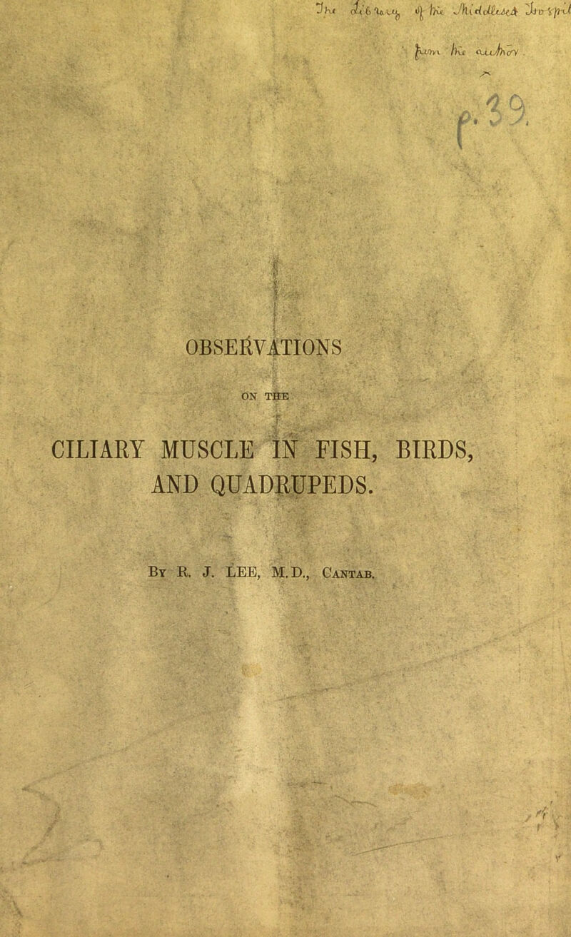 ^vmh /)vc cUx/^io'Y . OBSERVATIONS ON THE CILIARY MUSCLE IN FISH, BIRDS, AND QUADRUPEDS. By R. J. LEE, M.D., Cantab. n