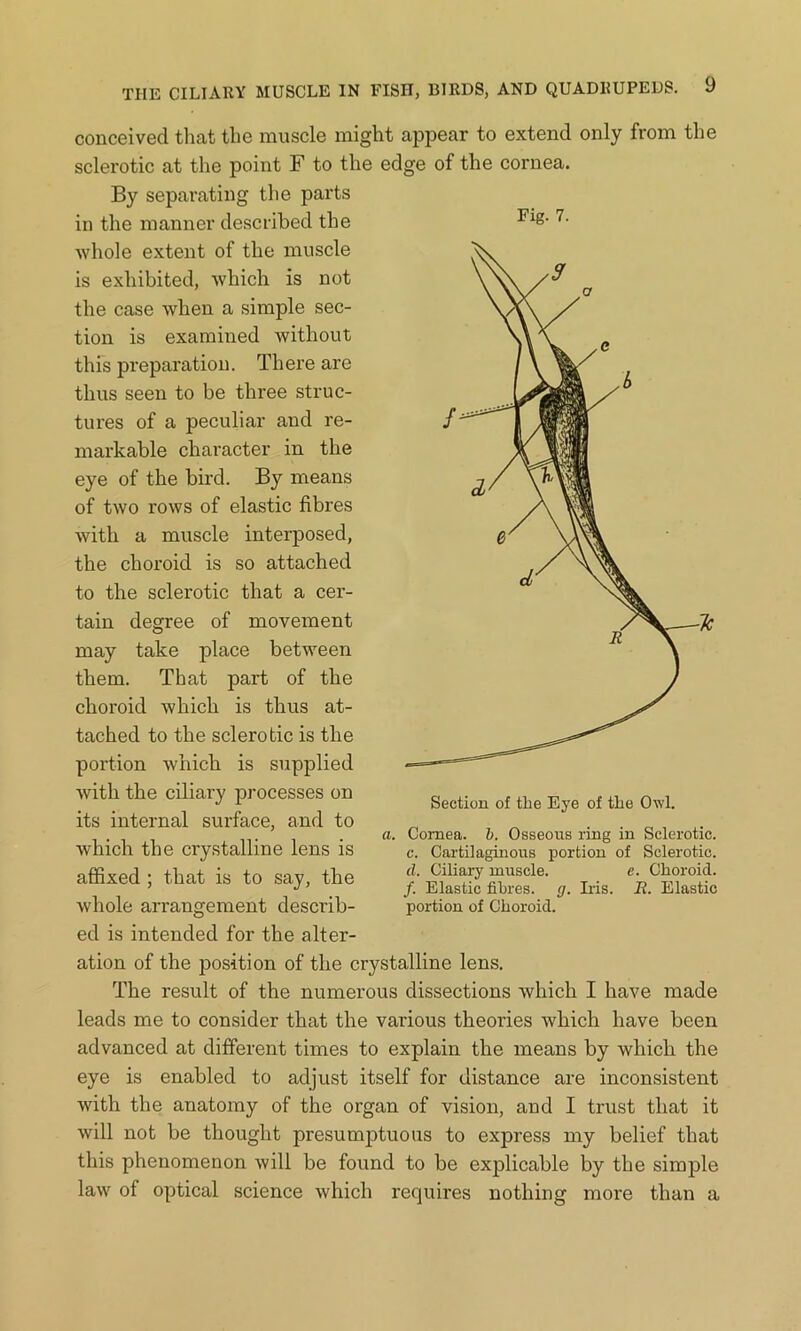 conceived that the muscle might appear to extend only from the sclerotic at the point F to the By separating the parts in the manner described the whole extent of the muscle is exhibited, which is not the case when a simple sec- tion is examined without this preparation. There are thus seen to be three struc- tures of a peculiar and re- markable character in the eye of the bird. By means of two rows of elastic fibres with a muscle interposed, the choroid is so attached to the sclerotic that a cer- tain degree of movement may take place between them. That part of the choroid which is thus at- tached to the sclerotic is the portion which is supplied with the ciliary processes on its internal surface, and to which the crystalline lens is affixed ; that is to say, the whole arrangement describ- edge of the cornea. O Fig. 7. Section of the Eye of the Owl. a. Cornea, b. Osseous ring in Sclerotic, c. Cartilaginous portion of Sclerotic. cl. Ciliary muscle. e. Choroid. /. Elastic fibres, g. Iris. R. Elastic portion of Choroid. ed is intended for the alter- ation of the position of the crystalline lens. The result of the numerous dissections which I have made leads me to consider that the various theories which have been advanced at different times to explain the means by which the eye is enabled to adjust itself for distance are inconsistent with the anatomy of the organ of vision, and I trust that it will not be thought presumptuous to express my belief that this phenomenon will be found to be explicable by the simple law of optical science which requires nothing more than a