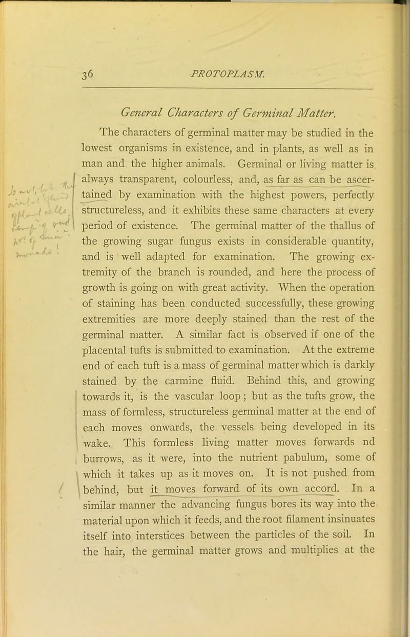 General Characters of Germinal Matter. The characters of germinal matter may be studied in the lowest organisms in existence, and in plants, as well as in man and the higher animals. Germinal or living matter is always transparent, colourless, and, as far as can be ascer- tained by examination with the highest powers, perfectly and is well adapted for examination. The growing ex- tremity of the branch is rounded, and here the process of growth is going on with great activity. When the operation of staining has been conducted successfully, these growing extremities are more deeply stained than the rest of the germinal matter. A similar fact is observed if one of the placental tufts is submitted to examination. At the extreme end of each tuft is a mass of germinal matter which is darkly stained by the carmine fluid. Behind this, and growing towards it, is the vascular loop; but as the tufts grow, the mass of formless, structureless germinal matter at the end of each moves onwards, the vessels being developed in its wake. This formless living matter moves forwards nd burrows, as it were, into the nutrient pabulum, some of which it takes up as it moves on. It is not pushed from behind, but it moves fonvard of its own accord. In a similar manner the advancing fungus bores its way into the material upon which it feeds, and the root filament insinuates itself into interstices between the particles of the soil. In the hair, the germinal matter grows and multiplies at the structureless, and it exhibits these same characters at every period of existence. The germinal matter of the thallus of the growing sugar fungus exists in considerable quantity,