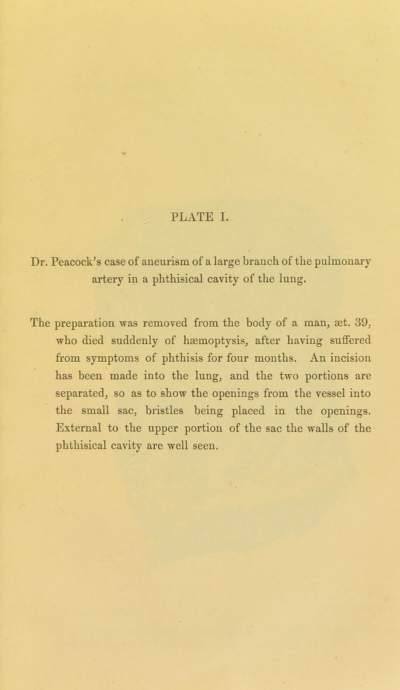 Dr. Peacock/s case of aneurism of a large branch of the pulmonary artery in a phthisical cavity of the lung. The preparation was removed from the body of a man, set. 39, who died suddenly of hcemoptysis, after having suffered from symptoms of phthisis for four months. An incision has been made into the lung, and the two portions are separated, so as to show the openings from the vessel into the small sac, bristles being placed in the openings. External to the upper portion of the sac the walls of the phthisical cavity are well seen.