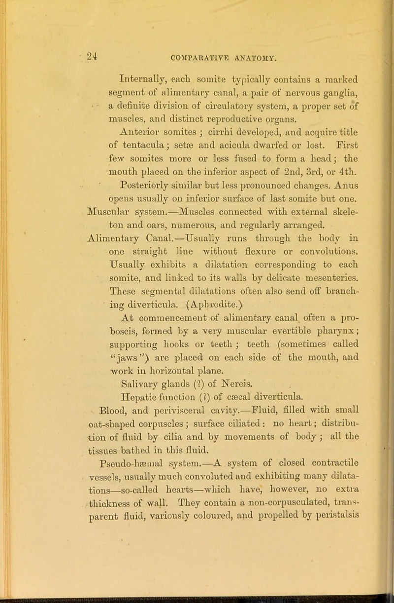 Internally, each somite typically contains a marked segment of alimentary canal, a pair of nervous ganglia, a definite division of circulatory system, a proper set of muscles, and distinct reproductive ox-gans. Anterior somites ; cirrhi developed, and acquire title of tentacula; setae and acicula dwarfed or lost. First few somites more or less fused to form a head; the mouth placed on the inferior aspect of 2nd, 3rd, or 4th. Posteriorly similar but less pronounced changes. Anus opens usually on inferior surface of last somite but one. Muscular system.—Muscles connected with external skele- ton and oars, numerous, and regularly arranged. Alimentary Canal.—Usually runs through the body in one straight line without flexure or convolutions. Usually exhibits a dilatation corresponding to each somite, and linked to its walls by delicate mesenteries. These segmental dilatations often also send off branch- ing diverticula. (Aphrodite.) At commencement of alimentary canal often a pro- boscis, formed by a very muscular evertible pharynx; supporting hooks or teeth ; teeth (sometimes called “jaws”) are placed on each side of the mouth, and work in horizontal plane. Salivary glands (?) of Nereis. Hepatic function (1) of csecal diverticula. Blood, and perivisceral cavity.—Fluid, filled with small oat-shaped corpuscles ; surface ciliated: no heart; distribu- tion of fluid by cilia and by movements of body ; all the tissues bathed in this fluid. Pseudo-hamial system.—A system of closed contractile vessels, usually much convoluted and exhibiting many dilata- tions—so-called hearts—which have, however, no extra thickness of wall. They contain a non-corpusculated, trans- parent fluid, variously coloured, and propelled by peristalsis