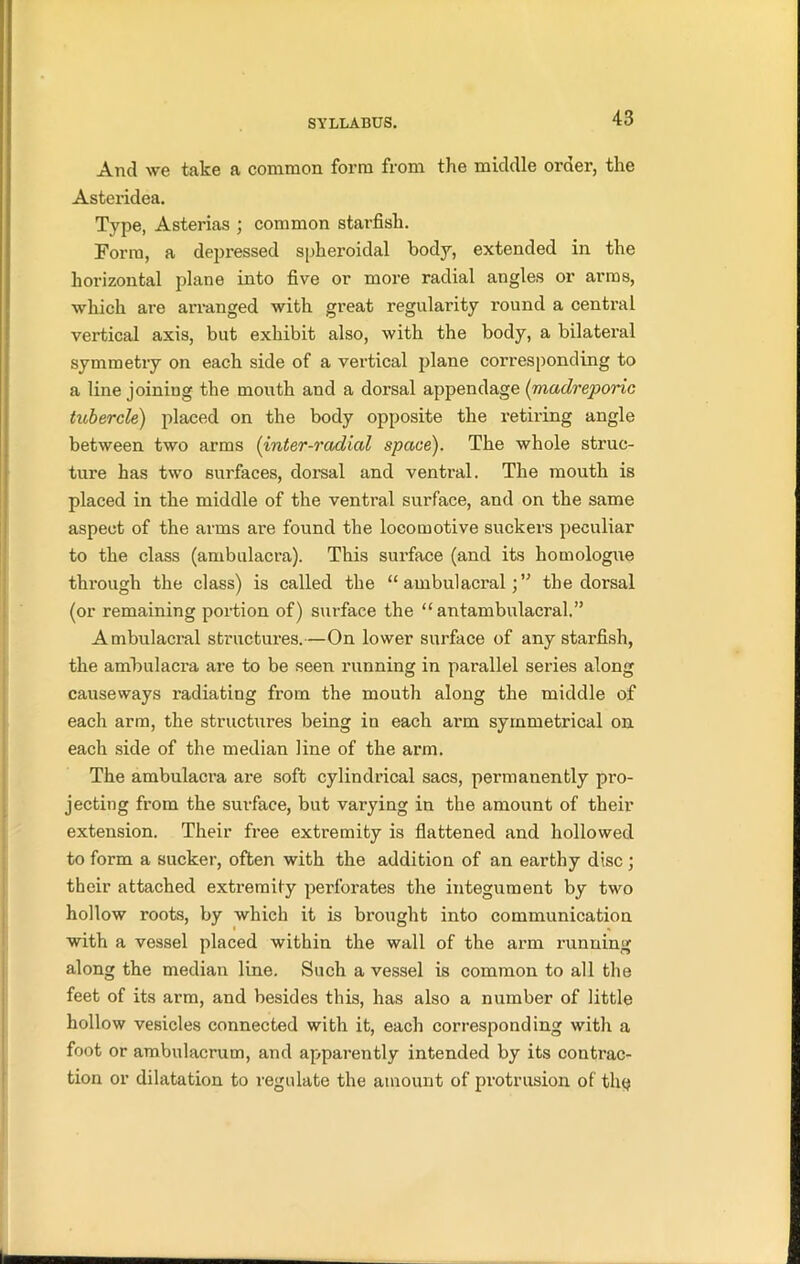 And we take a common form from the middle order, the Asteridea. Type, Asterias ; common starfish. Form, a depressed spheroidal body, extended in the horizontal plane into five or more radial angles or arms, which are arranged with great regularity round a central vertical axis, but exhibit also, with the body, a bilateral symmetry on each side of a vertical plane corresponding to a line joining the mouth and a dorsal appendage (madreporic tubercle) placed on the body opposite the retiring angle between two arms (inter-radial space). The whole struc- ture has two surfaces, dorsal and ventral. The mouth is placed in the middle of the ventral surface, and on the same aspect of the arms are found the locomotive suckers peculiar to the class (ambulacra). This surface (and its homologue through the class) is called the “ ambulacralthe dorsal (or remaining portion of) sm-face the “ antambulacral.” Ambulacral structures.—On lower surface of any starfish, the ambulacra are to be seen running in parallel series along causeways radiating from the mouth along the middle of each arm, the structures being in each arm symmetrical on each side of the median line of the arm. The ambulacra are soft cylindrical sacs, permanently pro- jecting from the surface, but varying in the amount of their extension. Their free extremity is flattened and hollowed to form a sucker, often with the addition of an earthy disc ; their attached extremity pei'forates the integument by two hollow roots, by which it is brought into communication with a vessel placed within the wall of the arm running along the median line. Such a vessel is common to all the feet of its arm, and besides this, has also a number of little hollow vesicles connected with it, each corresponding with a foot or ambulacrum, and apparently intended by its contrac- tion or dilatation to regulate the amount of protrusion of the?