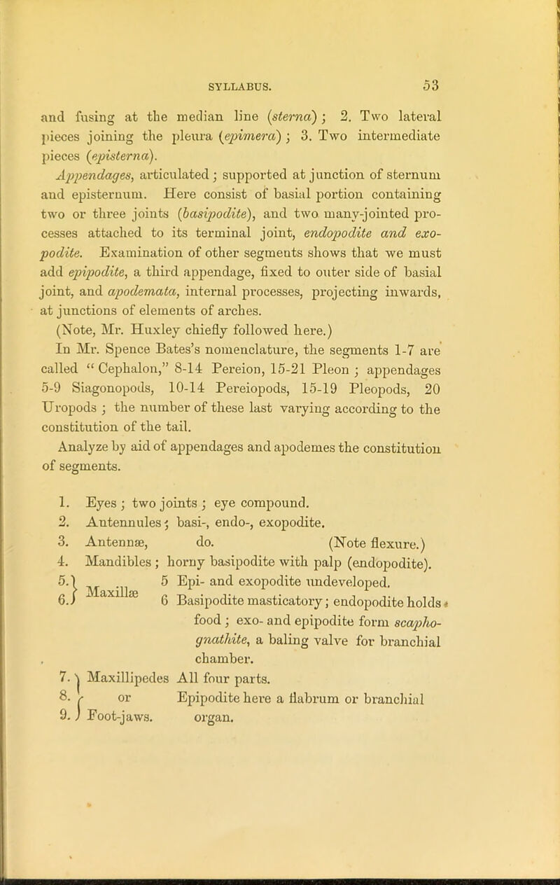 and fusing at the median line (sterna) ; 2. Two lateral pieces joining the pleura (epimera) ; 3. Two intermediate pieces (episterna). Appendages, articulated; supported at junction of sternum aud episternum. Here consist of basial portion containing two or three joints (basipodite), and two manv-jointed pro- cesses attached to its terminal joint, endopodite and exo- podite. Examination of other segments shows that we must add epipodite, a third appendage, fixed to outer side of basial joint, and apodemata, intexmal processes, projecting inwards, at junctions of elements of arches. (Note, Mr. Huxley chiefly followed here.) In Mr. Spence Bates’s nomenclature, the segments 1-7 are called “ Cephalon,” 8-14 Pereion, 15-21 Pleon ; appendages 5-9 Siagonopods, 10-14 Pereiopods, 15-19 Pleopods, 20 Uropods ; the number of these last varying according to the constitution of the tail. Analyze by aid of appendages and apodemes the constitution of segments. 1. Eyes; two joints; eye compound. 2. Antennules; basi-, endo-, exopodite. 3. Antennae, do. (Note flexure.) 4. Mandibles ; horny basipodite with palp (endopodite). M 11 ^ Epi- and exopodite undeveloped. 6. ) 1 2 3 4 * 6 7 * 9 ‘X1 6 Basipodite masticatox-y; endopodite holds * food ; exo- and epipodite form scaplio- gnatldte, a baling valve for branchial chamber. 7. 'j Maxillipedes All four parts. 8- r or Epipodite here a flabrum or branchial 9. j Foot-jaws. oi-gan.