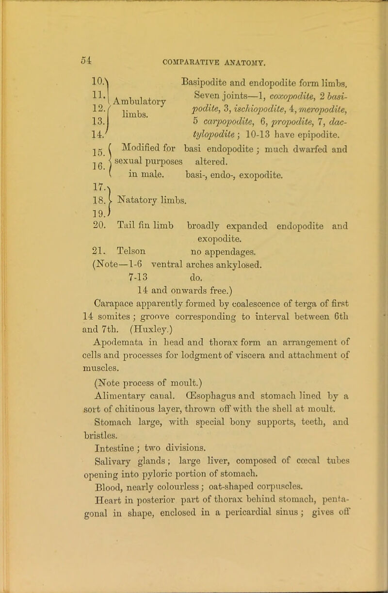 / Ambulatory limbs. Basipodite and endopodite form limbs. Seven joints—1, coxopndite, 2 basi- podite, 3, ischiopodite, 4, meropodite, 5 carpopodite, 6, propodile, 7, dac- tylopodite \ 10-13 have epipodite. Modified for basi endopodite ; much dwarfed and sexual purposes altered. in male. basi-, endo-, exopodite. Natatory limbs. 20. Tail fin limb broadly expanded endopodite and exopodite. 21. Telson no appendages. (Note—1-6 ventral arches ankylosed. 7-13 do. 14 and onwai’ds free.) Carapace apparently formed by coalescence of terga of first 14 somites ; groove corresponding to interval between 6th and 7th. (Huxley.) Apodemata in head and thorax form an arrangement of cells and processes for lodgment of viscera and attachment of muscles. (Note process of moult.) Alimentary canal. (Esophagus and stomach lined by a sort of chitinous layer, thrown off with the shell at moult. Stomach large, with special bony supports, teeth, and bristles. Intestine; two divisions. Salivary glands; large liver, composed of ccecal tubes opening into pyloric portion of stomach. Blood, nearly colourless; oat-shaped corpuscles. Heart in posterior part of thorax behind stomach, penta- gonal in shape, enclosed in a pericardial sinus ; gives oft'