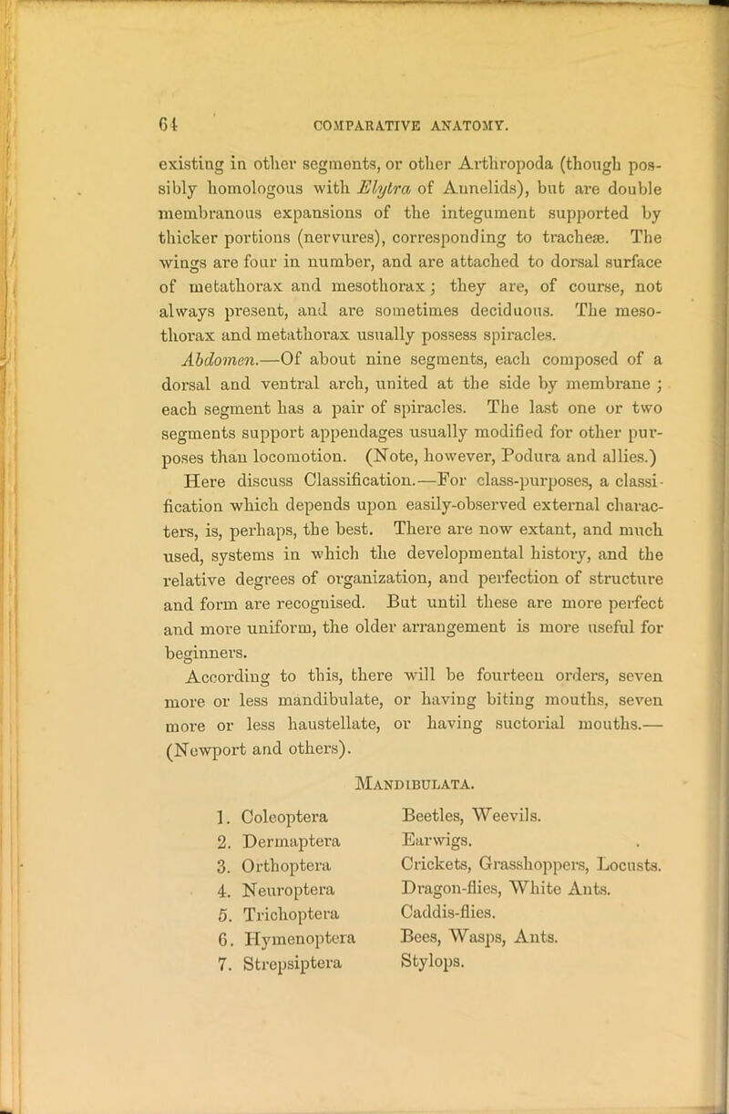 existing in other segments, or other Artliropoda (though pos- sibly homologous with Elytra of Annelids), but are double membranous expansions of the integument supported by thicker portions (nervures), corresponding to tracheae. The wings are four in number, and are attached to dorsal surface of metathorax and mesothorax; they are, of course, not always present, and are sometimes deciduous. The meso- thorax and metathorax usually possess spiracles. Abdomen.—Of about nine segments, each composed of a dorsal and ventral arch, united at the side by membrane ; each segment has a pair of spiracles. The last one or two segments support appendages usually modified for other pur- poses thau locomotion. (Note, however, Podura and allies.) Here discuss Classification.—For class-purposes, a classi- fication which depends upon easily-observed external charac- ters, is, perhaps, the best. There are now extant, and much used, systems in which the developmental history, and the relative degrees of organization, and perfection of structure and form are recoguised. But until these are more perfect and more uniform, the older arrangement is more useful for beginners. According to this, there will be fourteen orders, seven more or less mandibulate, or having biting mouths, seven more or less haustellate, or having suctorial mouths.— (Newport and others). Mandibulata. 1. Coleoptera 2. Dermaptera 3. Orthoptera 4. Neuroptera 5. Triclioptera 6. Hymenoptera 7. Strepsiptera Beetles, Weevils. Earwigs. Crickets, Grasshoppers, Locusts. Dragon-flies, White Ants. Caddis-flies. Bees, Wasps, Ants. Stylops.