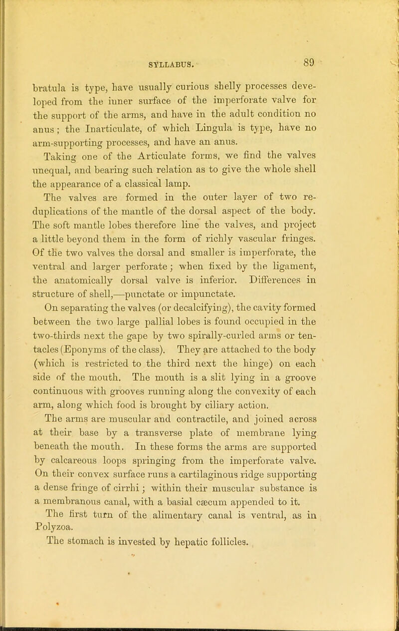 bra tula is type, have usually curious shelly processes deve- loped from the iuner surface of the imperforate valve for the support of the arms, and have in the adult condition no anus ; the Inarticulate, of which Lingula is type, have no arm-supporting processes, and have an anus. Taking one of the Articulate forms, we find the valves unequal, and bearing such relation as to give the whole shell the appearance of a classical lamp. The valves are formed in the outer layer of two re- duplications of the mantle of the dorsal aspect of the body. The soft mantle lobes therefore line the valves, and project a little beyond them in the form of richly vascular fringes. Of the two valves the dorsal and smaller is imperforate, the ventral and larger perforate; when fixed by the ligament, the anatomically dorsal valve is inferior. Differences in structure of shell,-—punctate or impunctate. On separating the valves (or decalcifying), the cavity formed between the two large pallial lobes is found occupied in the two-thirds next the gape by two spirally-curled arms or ten- tacles (Eponyms of the class). They are attached to the body (which is restricted to the third next the hinge) on each side of the mouth. The mouth is a slit lying in a groove continuous with grooves running along the convexity of each arm, along which food is brought by ciliary action. The arms are muscular and contractile, and joined across at their base by a transverse plate of membrane lying beneath the mouth. Iu these forms the arms are supported by calcareous loops springing from the imperforate valve. On their convex surface runs a cartilaginous ridge supporting a dense fringe of cirrhi; within their muscular substance is a membranous canal, with a basial caecum appended to it. The first turn of the alimentary canal is ventral, as in Polyzoa. The stomach is invested by hepatic follicles.