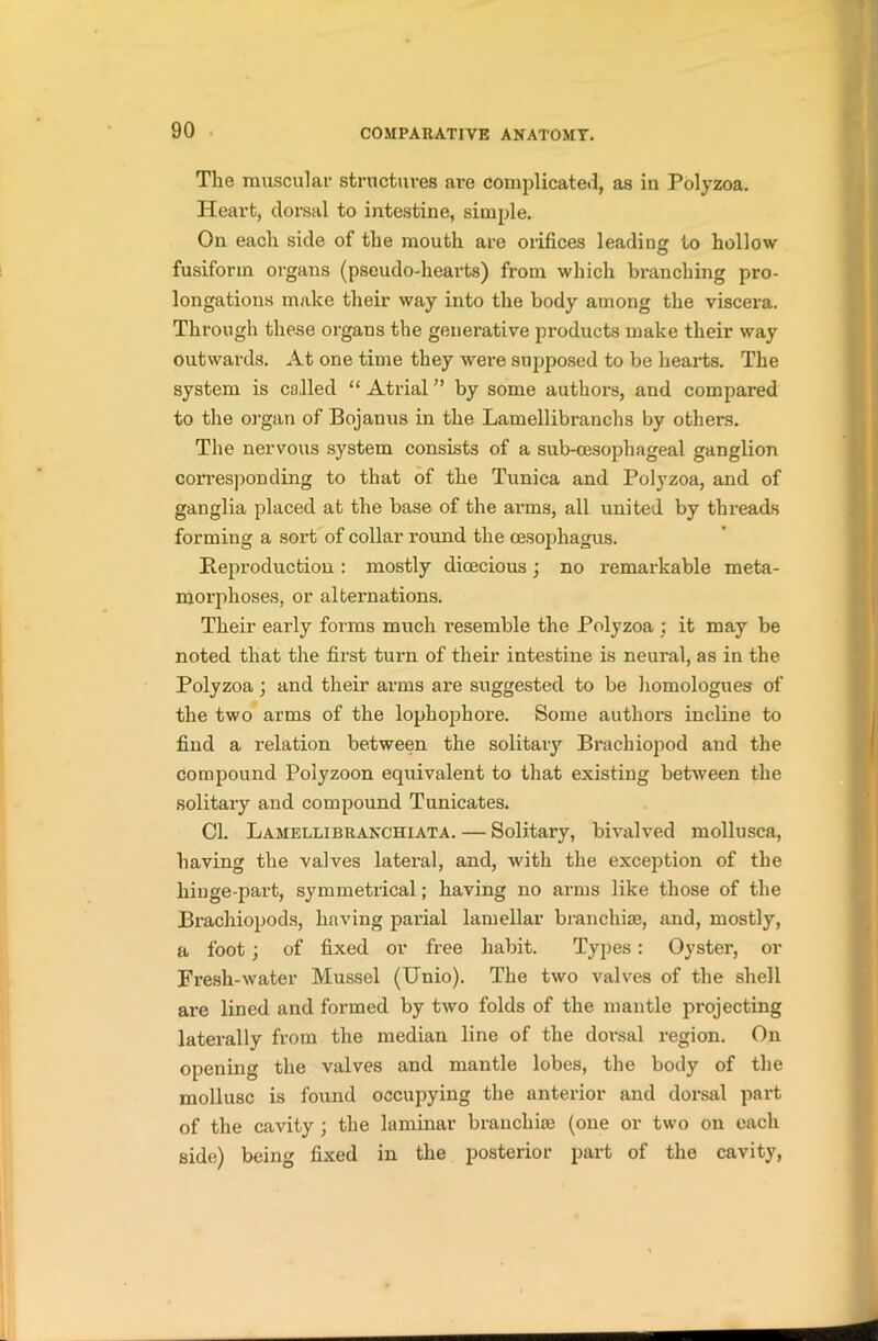 The muscular structures are complicated, as in Polyzoa. Heart, dorsal to intestine, simple. On each side of the mouth are orifices leading to hollow fusiform organs (pseudo-hearts) from which branching pro- longations make their way into the body among the viscera. Through these organs the generative pi’oducts make their way outwards. At one time they were supposed to be hearts. The system is called “ Atrial ” by some authors, and compared to the organ of Bojanus in the Lamellibranchs by others. The nervous system consists of a sub-cesophageal ganglion corresponding to that of the Tunica and Polyzoa, and of ganglia placed at the base of the arms, all united by threads forming a sort of collar round the oesophagus. Reproduction : mostly dioecious; no remarkable meta- morphoses, or alternations. Their early forms much resemble the Polyzoa : it may be noted that the first turn of their intestine is neural, as in the Polyzoa; and their arms are suggested to be homologues of the two arms of the lophophore. Some authors incline to find a relation between the solitary Brachiopod and the compound Polyzoon equivalent to that existing between the solitary and compound Tunicates. Cl. Lamellibranchiata. — Solitary, bivalved mollusca, having the valves lateral, and, with the exception of the hinge-part, symmetrical; having no arms like those of the Brachiopods, having pai'ial lamellar branchiae, and, mostly, a foot; of fixed or free habit. Types: Oyster, or Fresh-water Mussel (Unio). The two valves of the shell are lined and formed by two folds of the mantle projecting laterally from the median line of the dorsal region. On opening the valves and mantle lobes, the body of the mollusc is found occupying the anterior and dorsal part of the cavity ; the laminar branchiae (one or two on each side) being fixed in the posterior part of the cavity,