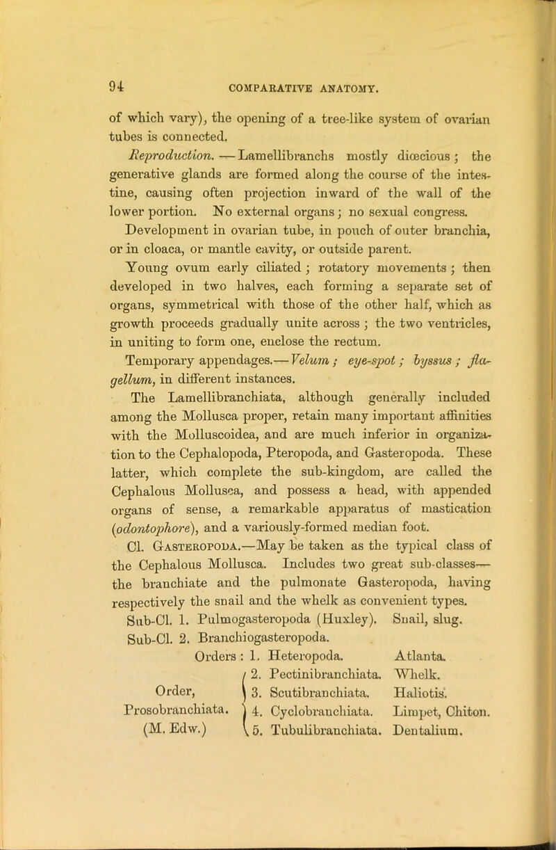 of which vary), the opening of a tree-like system of ovarian tubes is connected. Reproduction. — Lamellibranchs mostly dioecious ; the genei’ative glands are formed along the course of the intes- tine, causing often projection inward of the wall of the lower portion. No external organs; no sexual congress. Development in ovarian tube, in pouch of outer branchia, or in cloaca, or mantle cavity, or outside parent. Young ovum early ciliated ; rotatory movements ; then developed in two halves, each forming a separate set of organs, symmetrical with those of the other half, which as growth proceeds gradually unite across ; the two ventricles, in uniting to form one, enclose the rectum. Temporary appendages.— Velum; eye-spot; byssus ; fla- gellum, in different instances. The Lamellibranchiata, although generally included among the Mollusca proper, retain many important affinities with the Molluscoidea, and are much inferior in organiza- tion to the Cephalopoda, Pteropoda, and Gasteropoda. These latter, which complete the sub-kingdom, are called the Cephalous Mollusca, and possess a head, with appended organs of sense, a remarkable apparatus of mastication (odontophore), and a variously-formed median foot. Cl. Gasteropoda.—May be taken as the typical class of the Cephalous Mollusca. Includes two great sub-classes— the branchiate and the pulmonate Gasteropoda, having respectively the snail and the whelk as convenient types. Sub-Cl. 1. Pulmogasteropoda (Huxley). Snail, slug. Sub-Cl. 2. Branchiogasteropoda. Orders : 1. Heteropoda. Atlanta. / 2. Pectinibranchiata. Whelk. Order, ) 3. Scutibranchiata. Haliotis. Prosobranchiata. j 4, Cyclobrauchiata. Limpet, Chiton. (M. Edw.) \ 5. Tubulibrancliiata. Dentalium.