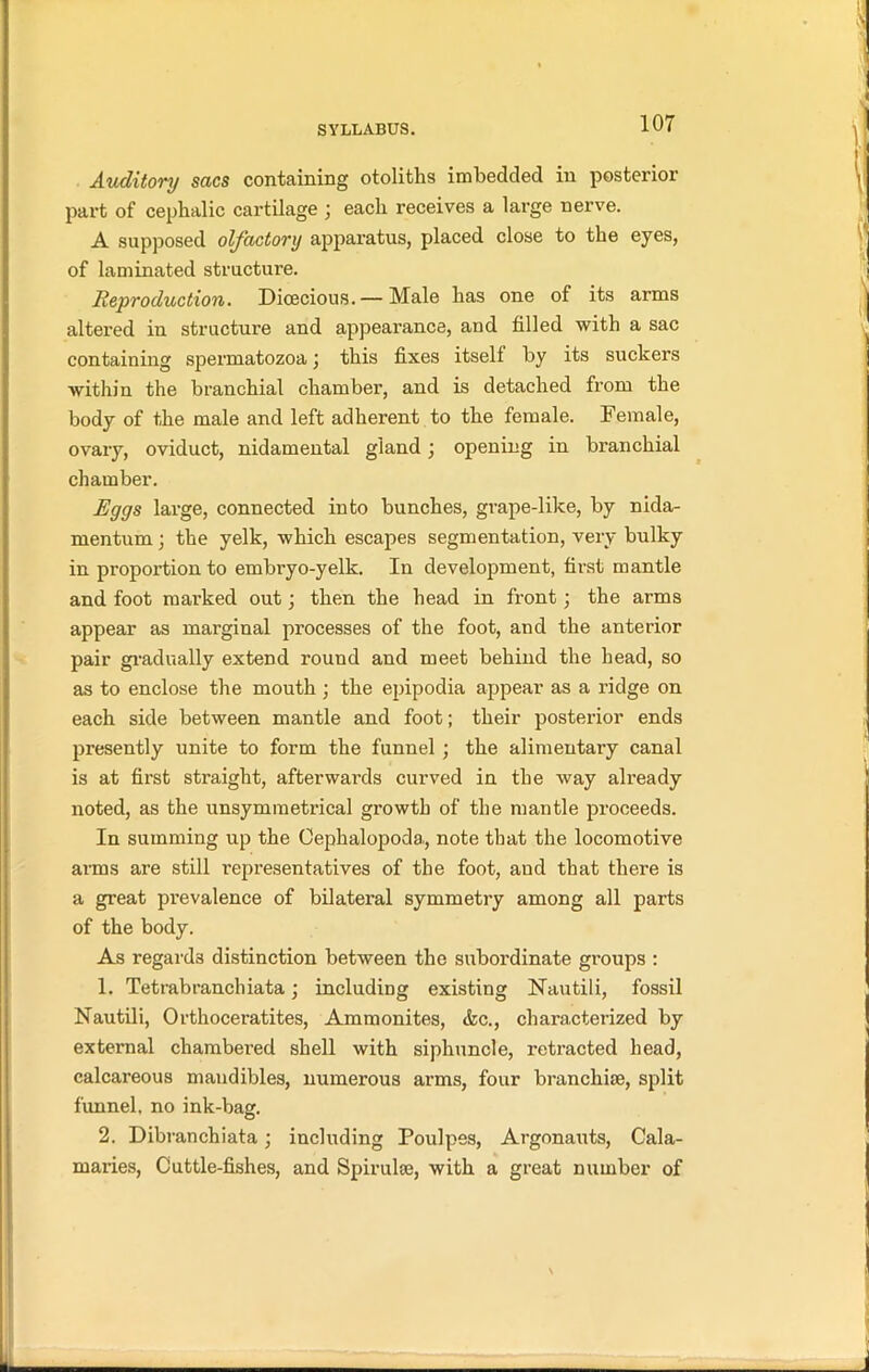 Auditory sacs containing otoliths imbedded in posterior part of cephalic cartilage ; each receives a large nerve. A supposed olfactory apparatus, placed close to the eyes, of laminated structure. Reproduction. Dioecious.— Male has one of its arms altered in structure and appearance, and filled with a sac containing spermatozoa; this fixes itself by its suckers within the branchial chamber, and is detached from the body of the male and left adherent to the female. Female, ovary, oviduct, nidamental gland; opening in branchial chamber. Eggs large, connected into bunches, grape-like, by nida- mentum; the yelk, which escapes segmentation, very bulky in proportion to embryo-yelk. In development, first mantle and foot marked out; then the head in front; the arms appear as marginal processes of the foot, and the anterior pair gradually extend round and meet behind the head, so as to enclose the mouth ; the epipodia appear as a ridge on each side between mantle and foot; their posterior ends presently unite to form the funnel ; the alimentary canal is at first straight, afterwards curved in the way already noted, as the unsymmetrical growth of the mantle proceeds. In summing up the Cephalopoda., note that the locomotive arms are still representatives of the foot, and that there is a great prevalence of bilateral symmetry among all parts of the body. As regards distinction between the subordinate groups : 1. Tetrabranchiata; including existing Nautili, fossil Nautili, Orthoceratites, Ammonites, (fee., characterized by external chambered shell with siphuncle, retracted head, calcareous mandibles, numerous arms, four branchiae, split funnel, no ink-bag. 2. Dibranchiata; including Poulpes, Argonauts, Cala- mai’ies, Cuttle-fishes, and Spirulae, with a great number of