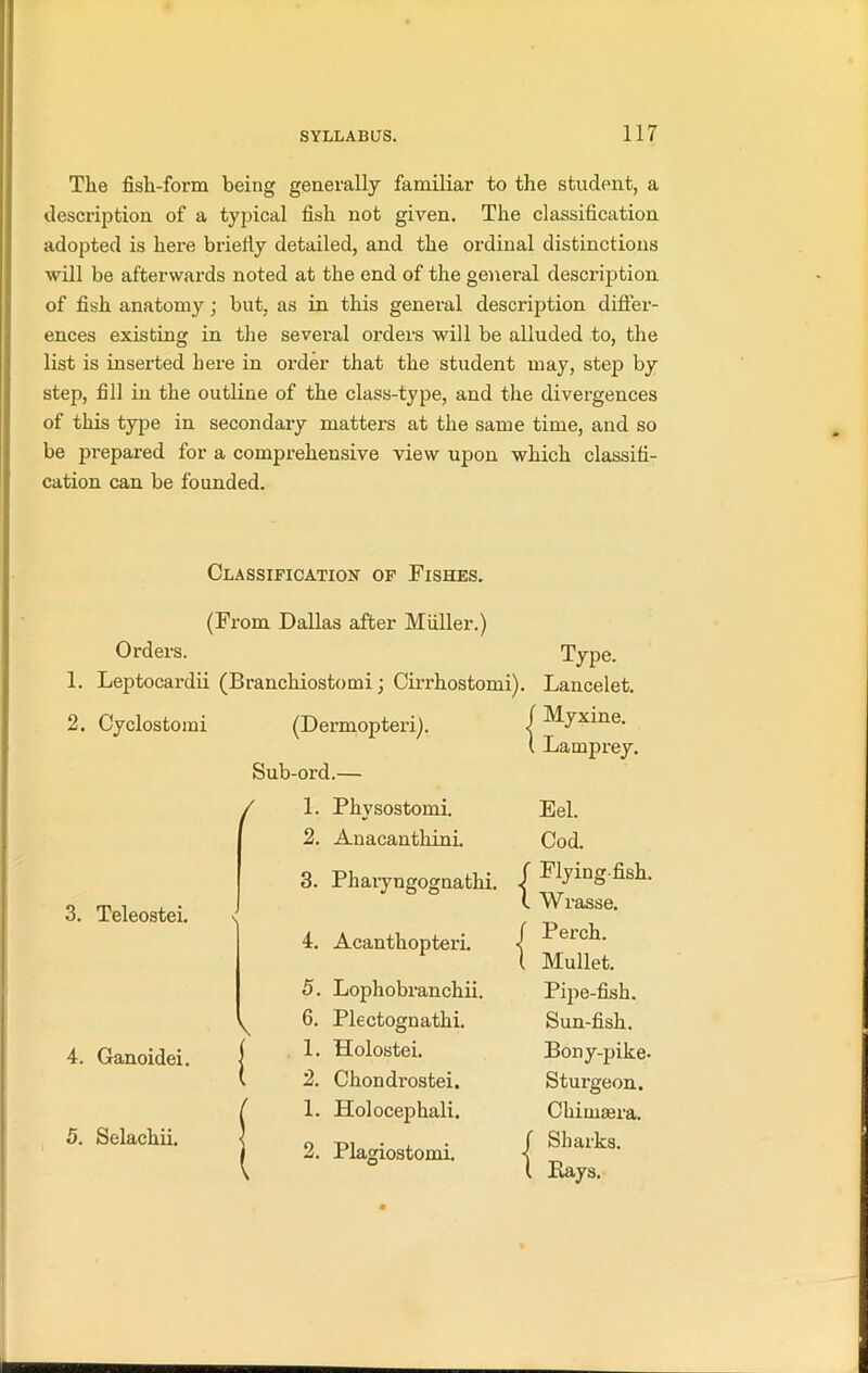 The fish-form being generally familiar to the student, a description of a typical fish not given. The classification adopted is here briefly detailed, and the ordinal distinctions will be afterwards noted at the end of the general description of fish anatomy; but. as in this general description differ- ences existing in the several orders will be alluded to, the list is inserted here in order that the student may, step by step, fill in the outline of the class-type, and the divergences of this type in secondary matters at the same time, and so be prepared for a comprehensive view upon which classifi- cation can be founded. Classification of Fishes. (From Dallas after Muller.) Orders. 1. Leptocardii (Branchiostomi; Cirrhostomi). 2. Cyclostomi 3. Teleostei. 4. Ganoidei. 5. Selachii. (Dermopteri). Sub-ord.— ( 1. Physostomi. 2. Auacanthini. 3. Pharyngognathi. | 4. Acanthopteri. j 5. Lophobranchii. 6. Plectognathi. 1. Holostei. 2. Chondrostei. 1. Holocephali. 2. Plagiostomi. Type. Lancelet. Myxine. Lamprey. Eel. Cod. Flying-fish. Wrasse. Perch. Mullet. Pipe-fish. Sun-fish. Bony-pike. Sturgeon. Chimaera. Sharks. Bays.