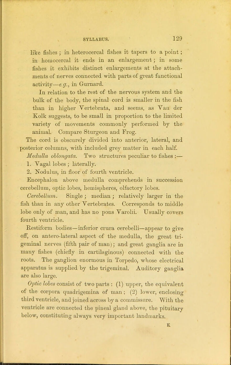 like fishes ; in lieterocercal fishes it tapers to a point; in homocercal it ends in an enlargement; in some fishes it exhibits distinct enlargements at the attach- ments of nerves connected with parts of great functional activity—eg., in Gurnard. In relation to the rest of the nervous system and the bulk of the body, the spinal cord is smaller in the fish than in higher Vertebrata, and seems, as Yan der Kolk suggests, to be small in proportion to the limited variety of movements commonly performed by the animal. Compare Sturgeon and Frog. The cord is obscurely divided into anterior, lateral, and posterior columns, with included grey matter in each half. Medulla oblongata. Two structures peculiar to fishes :— 1. Yagal lobes; laterally. 2. Nod ulus, in floor of fourth ventricle. Encephalon above medulla comprehends in succession cerebellum, optic lobes, hemispheres, olfactory lobes. Cerebellum. Single ; median ; relatively larger in the fish than in any other Vertebrates. Corresponds to middle lobe only of man, and has no pons Varolii. Usually covers fourth ventricle. Eestiform bodies—inferior crura eerebelli—appear to give off, on antero-lateral aspect of the medulla, the great tri- geminal nerves (fifth pair of man); and great ganglia are in mauy fishes (chiefly in cartilaginous) connected with the roots. The ganglion enormous in Torpedo, whose electrical apparatus is supplied by the trigeminal. Auditory ganglia are also large. Optic lobes consist of two parts : (1) upper, the equivalent of the corpora quadrigemina of man ; (2) lower, enclosing third ventricle, and joined across by a commissure. With the ventricle are connected the pineal gland above, the pituitary below, constituting always very important landmarks. K