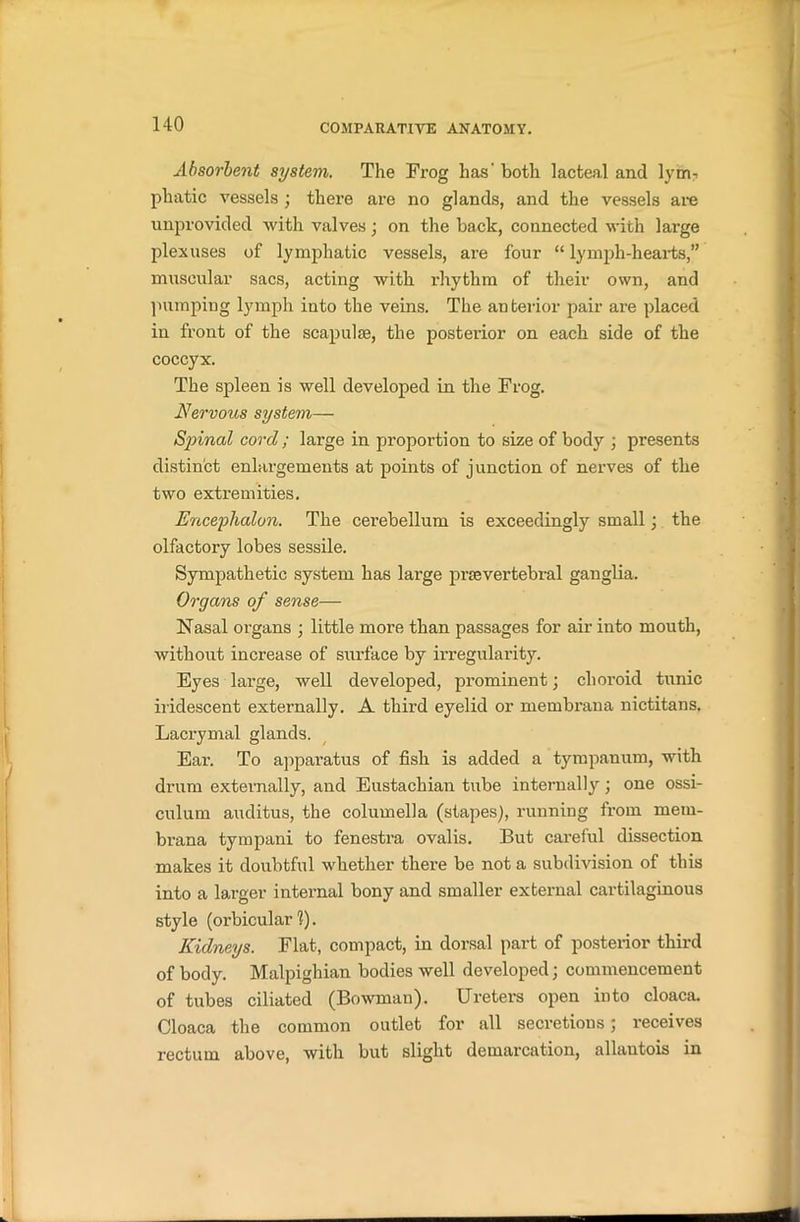 Absorbent system. The Frog lias' both lacteal and lym? phatic vessels ; there are no glands, and the vessels are unprovided with valves; on the back, connected with large plexuses of lymphatic vessels, are four “ lymph-hearts,” muscular sacs, acting with rhythm of their own, and pumping lymph into the veins. The anterior pair are placed in front of the scapulae, the posterior on each side of the coccyx. The spleen is well developed in the Frog. Nervous system— Spinal cord ; large in proportion to size of body ; presents distinct enlargements at points of junction of nerves of the two extremities. Encephalon. The cerebellum is exceedingly small; the olfactory lobes sessile. Sympathetic system has large prsevertebral ganglia. Organs of sense— Nasal organs ; little more than passages for air into mouth, without increase of surface by irregularity. Eyes large, well developed, prominent; choroid tunic iridescent externally. A third eyelid or membrana nictitans. Lacrymal glands. Ear. To apparatus of fish is added a tympanum, with drum externally, and Eustachian tube internally; one ossi- culum auditus, the columella (stapes), running from mem- brana tympani to fenestra ovalis. But careful dissection makes it doubtful whether there be not a subdivision of this into a larger internal bony and smaller external cartilaginous style (orbicular!). Kidneys. Flat, compact, in dorsal part of posterior third of body. Malpighian bodies well developed; commencement of tubes ciliated (Bowman). Ureters open into cloaca. Cloaca the common outlet for all secretions; receives rectum above, with but slight demarcation, allautois in