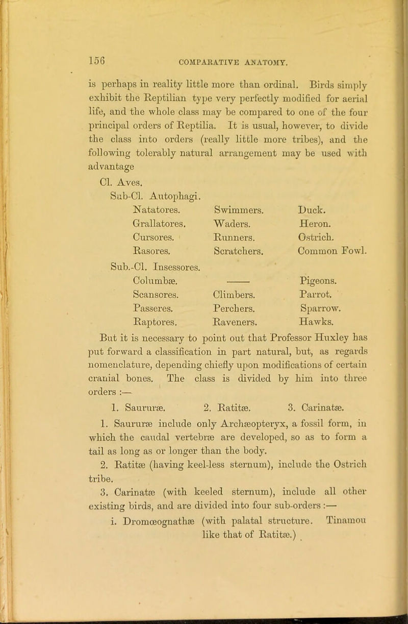 is perhaps in reality little more than ordinal. Birds simply exhibit the Reptilian type very perfectly modified for aerial life, and the whole class may be compared to one of the four principal orders of Reptilia. It is usual, however, to divide the class into orders (really little more tribes), and the following tolerably natural arrangement may be used with advantage Cl. Aves, Sub-Cl. Autophagi. Natatores. Swimmers. Buck. Grallatores. Waders. Heron. Cursores. Runners. Ostrich. Rasores. Scratchers. Common Fowl. Sub.-Cl. Insessores. Columbse. Pigeons. Scansores. Climbers. Parrot. Passeres. Perchers. Sparrow. Raiptores. Raveners. Hawks. But it is necessary to point out that Professor Huxley has put forward a classification in part natural, but, as regards nomenclature, depending chiefly upon modifications of certain cranial bones. The class is divided by him into three orders :— 1. Saururse. 2, Ratitse. 3. Carinatse. 1. Saururae include only Archaeopteryx, a fossil form, in which the caudal vertebrae are developed, so as to form a tail as long as or longer than the body. 2. Ratitse (having keel-less sternum), include the Ostrich tribe. 3. Carinatse (with keeled sternum), include all other existing birds, and are divided into four sub-orders :— i. Dromceognathae (with palatal structure. Tinamou like that of Ratitse.)