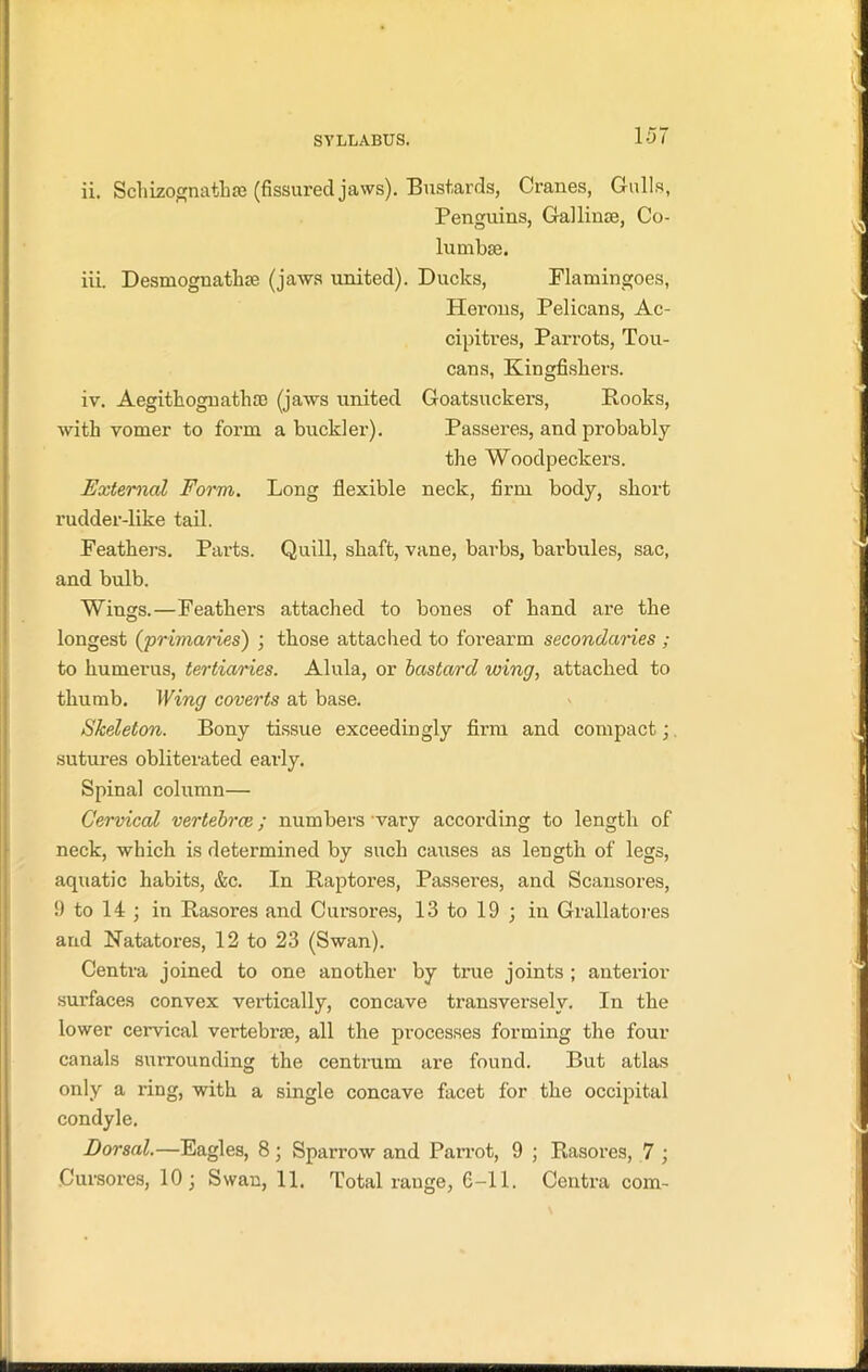 ii. Schizognathm (fissured jaws). Bustards, Cranes, Gulls, Penguins, Gallinae, Co- lumbse. iii. Desmognatlne (jaws united). Ducks, Flamingoes, Herons, Pelicans, Ac- cipitres, Parrots, Tou- cans, Kingfishers. iv. Aegithognatlisc (jaws united Goatsuckers, Rooks, with vomer to form a buckler). Passeres, and probably the Woodpeckers. External Form. Long flexible neck, firm body, short rudder-like tail. Feathers. Parts. Quill, shaft, vane, barbs, barbules, sac, and bulb. Wings.—Feathers attached to bones of hand are the longest (primaries) ; those attached to forearm secondaries ; to humerus, tertiaries. Alula, or bastard icing, attached to thumb. Wing coverts at base. Skeleton. Bony tissue exceedingly firm and compact; sutures obliterated early. Spinal column— Cervical vertebrae; numbers vary according to length of neck, which is determined by such causes as length of legs, aquatic habits, &c. In Raptores, Passeres, and Scansores, 9 to 14 • in Rasores and Cursores, 13 to 19 ; in Grallatores and Natatores, 12 to 23 (Swan). Centra joined to one another by true joints ; anterior surfaces convex vertically, concave transversely. In the lower cervical vertebra;, all the processes forming the four canals surrounding the centrum are found. But atlas only a ring, with a single concave facet for the occipital condyle. Dorsal.—Eagles, 8; Sparrow and Parrot, 9 ; Rasores, 7 ; Cursores, 10; Swan, 11. Total range, 6-11. Centra com-