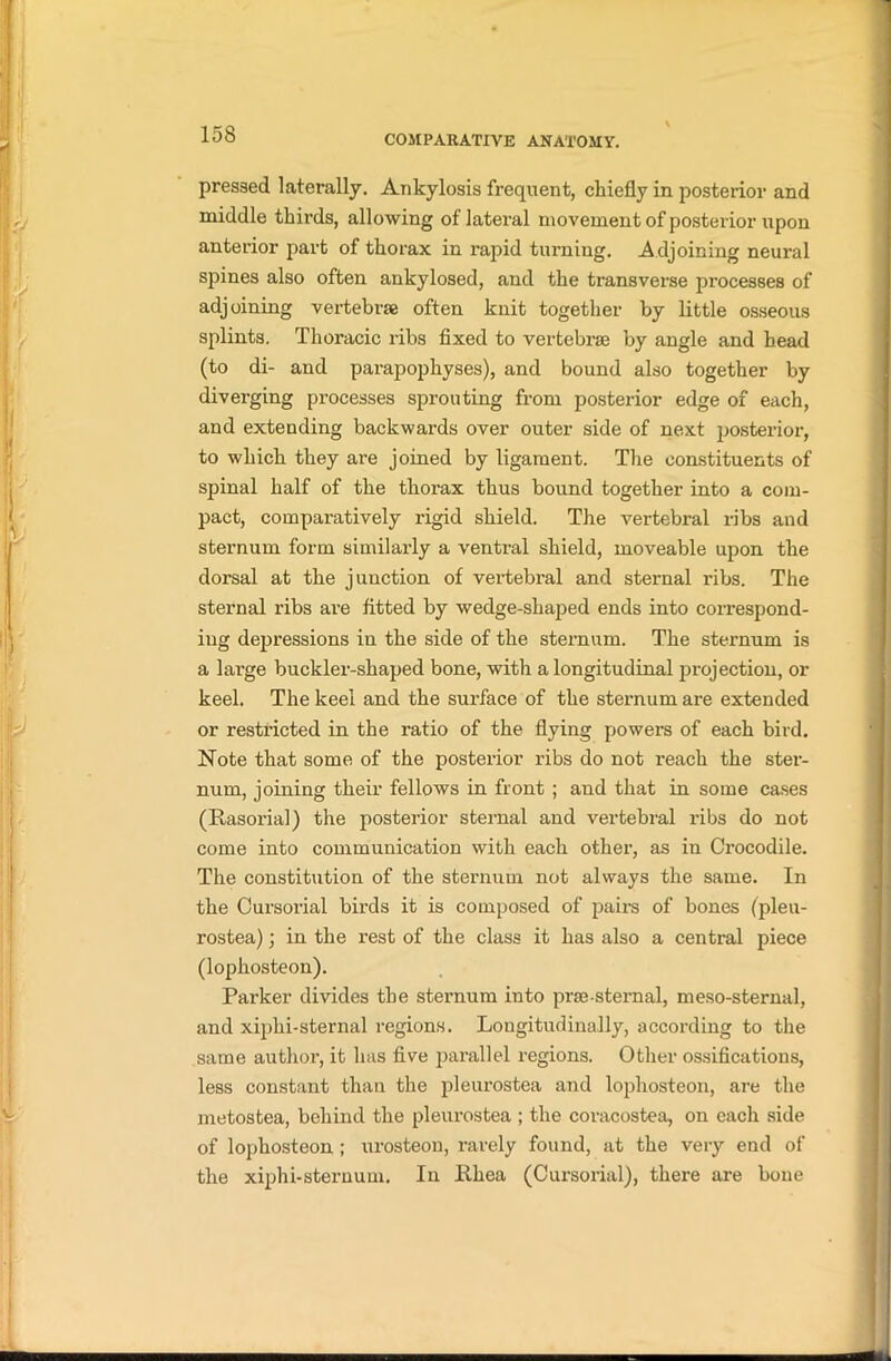 pressed laterally. Ankylosis frequent, chiefly in posterior and middle thirds, allowing of lateral movement of posterior upon anterior part of thorax in rapid turning. A djoining neural spines also often ankylosed, and the transverse processes of adjoining vertebrae often knit together by little osseous splints. Thoracic ribs fixed to vertebrae by angle and head (to di- and parapophyses), and bound also together by diverging processes sprouting from posterior edge of each, and extending backwards over outer side of next posterior, to which they are joined by ligament. The constituents of spinal half of the thorax thus bound together into a com- pact, comparatively rigid shield. The vertebral ribs and sternum form similarly a ventral shield, moveable upon the dorsal at the junction of vertebral and sternal ribs. The sternal ribs are fitted by wedge-shaped ends into correspond- ing depressions in the side of the sternum. The sternum is a large buckler-shaped bone, with a longitudinal projection, or keel. The keel and the surface of the sternum are extended or restricted in the ratio of the flying powers of each bird. Note that some of the posterior ribs do not reach the ster- num, joining their fellows in front ; and that in some cases (Rasorial) the posterior sternal and vertebral ribs do not come into communication with each other, as in Crocodile. The constitution of the sternum not always the same. In the Cursorial birds it is composed of pairs of bones (pleu- rostea); in the rest of the class it has also a central piece (lophosteon). Parker divides the sternum into prae-stemal, meso-sternal, and xiphi-sternal regions. Longitudinally, according to the same author, it has five parallel regions. Other ossifications, less constant than the pleurostea and lophosteon, are the metostea, behind the pleurostea ; the coracostea, on each side of lophosteon ; urosteon, rarely found, at the very end of the xiphi-sternum. In Rhea (Cursorial), there are bone