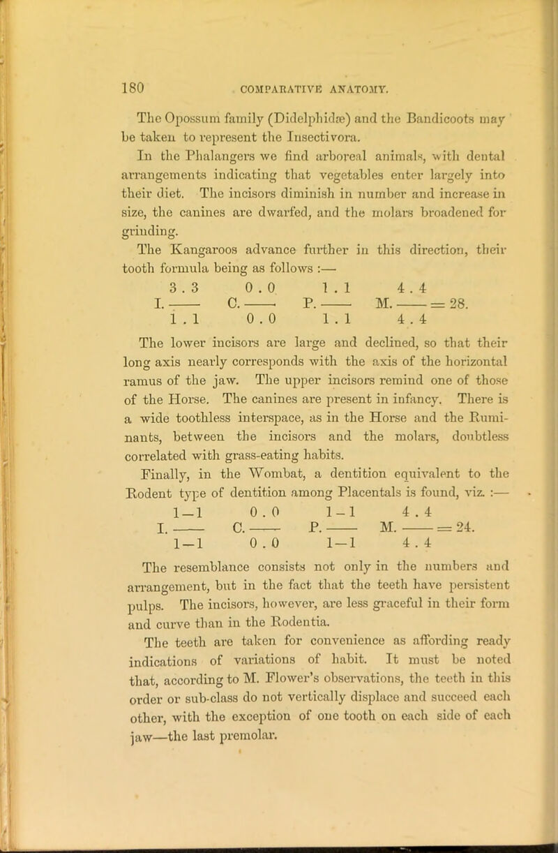 The Opossum family (Didelphidm) and the Bandicoots may be taken to represent the Insectivora. In the Phalangers we find arboreal animals, with dental arrangements indicating that vegetables enter largely into their diet. The incisors diminish in number and increase in size, the canines are dwarfed, and the molars broadened for grinding. The Kangaroos advance further in this direction, their tooth formula being as follows :— 3.3 0.0 1.1 4.4 I. C. P. M. = 28. 1.1 0.0 1.1 4.4 The lower incisors are large and declined, so that their long axis nearly corresponds with the axis of the horizontal ramus of the jaw. The upper incisors remind one of those of the Plorse. The canines are present in infancy. There is a wide toothless interspace, as in the Horse and the Rumi- nants, between the incisors and the molars, doubtless correlated with grass-eating habits. Finally, in the Wombat, a dentition equivalent to the Rodent type of dentition among Placentals is found, viz. :— 1-1 0.0 1-1 4.4 I. C. P. M. = 24. 1-1 0.0 1-1 4.4 The resemblance consists not only in the numbers and arrangement, but in the fact that the teeth have persistent pulps. The incisors, however, are less graceful in their form and curve than in the Rodentia. The teeth are taken for convenience as affording ready indications of variations of habit. It must be noted that according to M. Flower’s observations, the teeth in this order or sub-class do not vertically displace and succeed each other, with the exception of one tooth on each side of each jaw—the last premolar.
