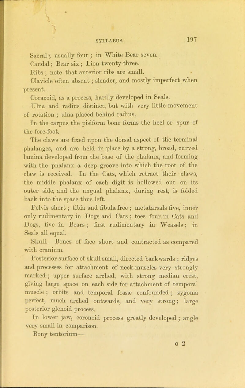 Sacral ; usually four ; in White Bear seven. Caudal; Bear six ; Lion twenty-three. Ribs ; note that anterior ribs are small. Clavicle often absent ; slender, and mostly imperfect when present. Coracoid, as a process, hardly developed in Seals. Ulna and radius distinct, hut with very little movement of rotation ; ulna placed behind radius. In the carpus the pisiform bone forms the heel or spur of the fore-foot. The claws are fixed upon the dorsal aspect of the terminal phalanges, and are held in place by a strong, broad, curved lamina developed from the base of the phalanx, and forming •with the phalanx a deep groove into which the root of the claw is received. In the Cats, which retract their claws, the middle phalanx of each digit is hollowed out on its outer side, and the ungual phalanx, during rest, is folded back into the space thus left. Pelvis short; tibia and fibula free ; metatarsals five, inner only rudimentary in Dogs and Cats ; toes four in Cats and Dogs, five in Bears; first rudimentary in Weasels; in Seals all equal. Skull. Bones of face short and contracted as compared with cranium. Posterior surface of skull small, directed backwards ; ridges and processes for attachment of neck-muscles very strongly marked ; upper surface arched, with strong median crest, giving large space on each side for attachment of temporal muscle; orbits and temporal fossae confounded; zygoma perfect, much arched outwards, and very strong; large posterior glenoid process. In lower jaw, coronoid process greatly developed; angle very small in comparison. Bony tentorium— o 2