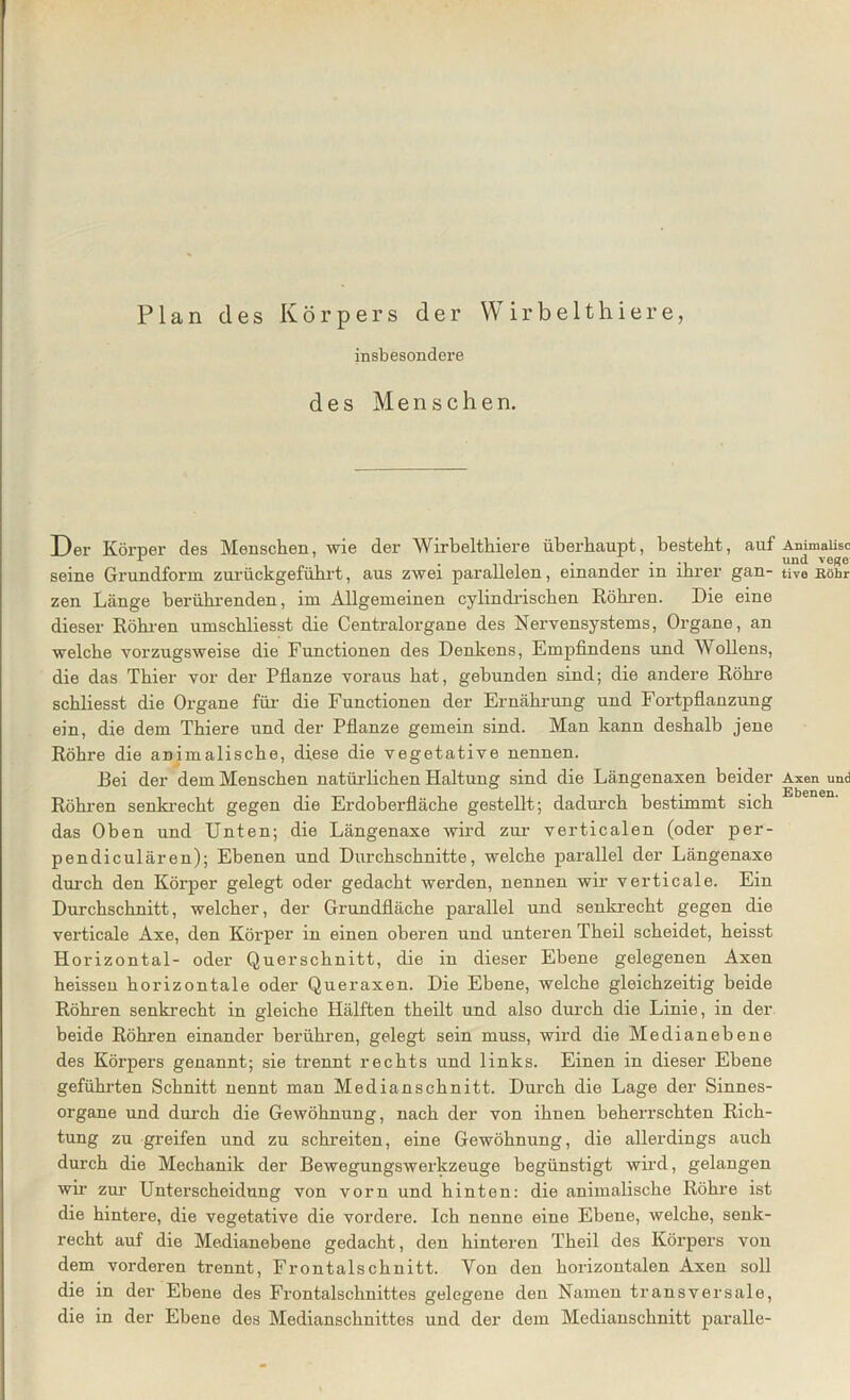 Plan des Körpers der Wirbelthiere, insbesondere des Menschen. Der Körner des Menschen, wie der Wirbelthiere überhaupt, besteht, auf AnimaiBc r ...... und vef?e seine Grundform zurückgeführt, aus zwei parallelen, einander m ihrer gan- tive Böhr zen Länge berührenden, im Allgemeinen cylindrischen Röhren. Die eine dieser Röhren umschliesst die Centralorgane des Nervensystems, Organe, an welche vorzugsweise die Functionen des Denkens, Empfindens und Wollens, die das Thier vor der Pflanze voraus hat, gebunden sind; die andere Röhre schliesst die Organe für die Functionen der Ernährung und Fortpflanzung ein, die dem Thiere und der Pflanze gemein sind. Man kann deshalb jene Röhre die animalische, diese die vegetative nennen. Bei der dem Menschen natürlichen Haltung sind die Längenaxen beider Axen und Röhren senkrecht gegen die Erdoberfläche gestellt; dadurch bestimmt sich das Oben und Unten; die Längenaxe wird zur verticalen (oder per- pendiculären); Ebenen und Durchschnitte, welche parallel der Längenaxe durch den Körper gelegt oder gedacht werden, nennen wir verticale. Ein Durchschnitt, welcher, der Grundfläche parallel und senkrecht gegen die verticale Axe, den Körper in einen oberen und unteren Theil scheidet, heisst Horizontal- oder Querschnitt, die in dieser Ebene gelegenen Axen heissen horizontale oder Quer axen. Die Ebene, welche gleichzeitig beide Röhren senkrecht in gleiche Hälften theilt und also durch die Linie, in der beide Röhren einander berühren, gelegt sein muss, wird die Medianebene des Körpers genannt; sie trennt rechts und links. Einen in dieser Ebene geführten Schnitt nennt man Medianschnitt. Durch die Lage der Sinnes- organe und durch die Gewöhnung, nach der von ihnen beherrschten Rich- tung zu greifen und zu schreiten, eine Gewöhnung, die allerdings auch durch die Mechanik der Bewegungswerkzeuge begünstigt wird, gelangen wir zur Unterscheidung von vorn und hinten: die animalische Röhre ist die hintere, die vegetative die vordere. Ich nenne eine Ebene, welche, senk- recht auf die Medianebene gedacht, den hinteren Theil des Körpers von dem vorderen trennt, Frontalschnitt. Yon den horizontalen Axen soll die in der Ebene des Frontalschnittes gelegene den Namen transversale, die in der Ebene des Medianschnittes und der dem Medianschnitt paralle-