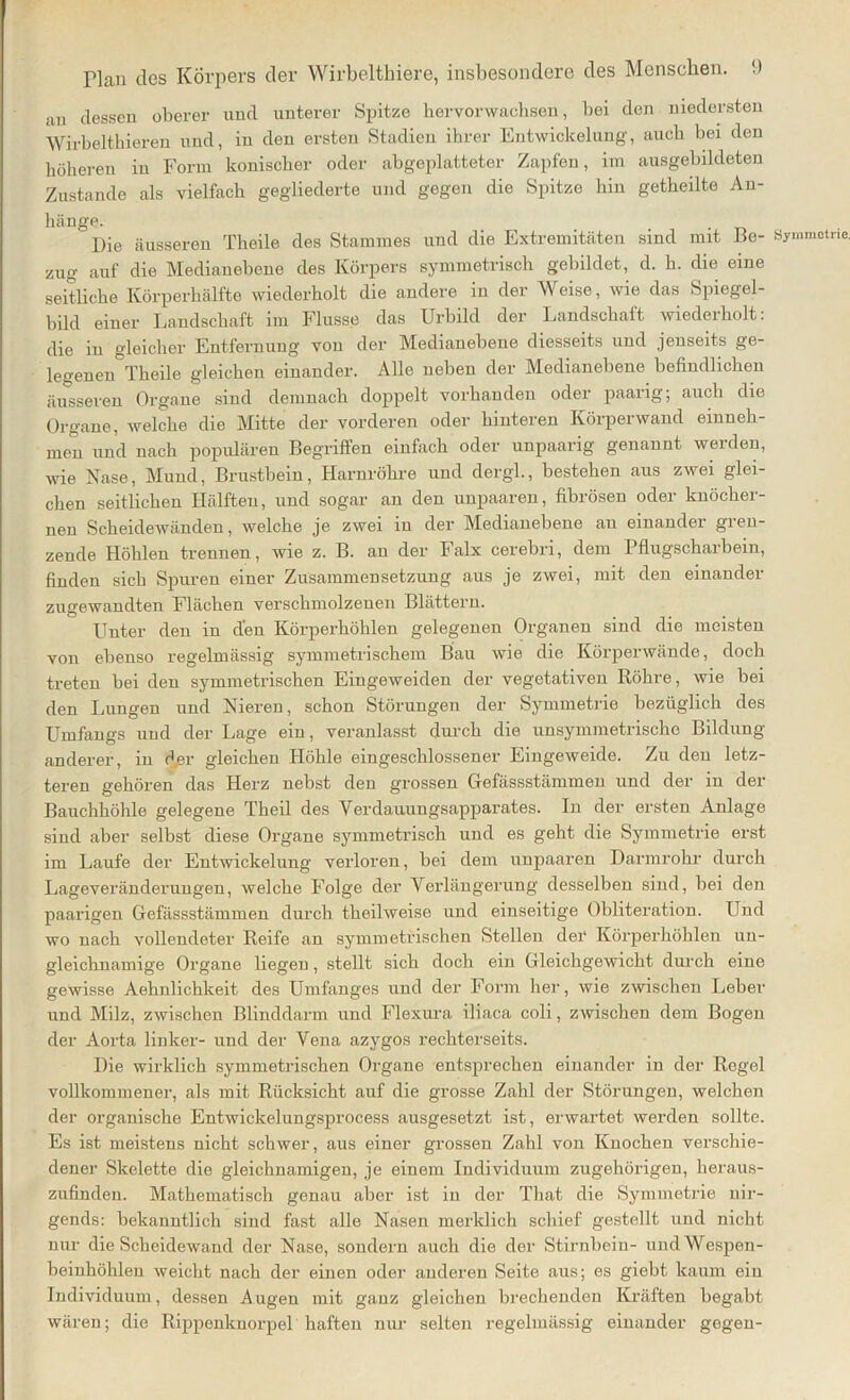 an dessen oberer und unterer Spitze hervorwachsen, bei den niedersten Wirbelthieren und, in den ersten Stadien ihrer Entwickelung, auch bei den höheren in Form konischer oder abgeplatteter Zapfen, im ausgebildeten Zustande als vielfach gegliederte und gegen die Spitze hin getheilte An- hänge. Die äusseren Theile des Stammes und die Extremitäten sind mit Be- Symmetrie zug auf die Medianebene des Körpers symmetrisch gebildet, d. h. die eine seitliche Körperhälfte wiederholt die andere in der Weise, wie das Spiegel- bild einer Landschaft im Flusse das Urbild der Landschaft wiederholt: die in gleicher Entfernung von der Medianebene diesseits und jenseits ge- legenen Theile gleichen einander. Alle neben der Medianebene befindlichen äusseren Organe sind demnach doppelt vorhanden oder paarig; auch die Organe, welche die Mitte der vorderen oder hinteren Körperwand einneh- men und nach populären Begriffen einfach oder unpaarig genannt werden, wie Nase, Mund, Brustbein, Harnröhre und dergl., bestehen aus zwei glei- chen seitlichen Hälften, und sogar an den unpaaren, fibrösen oder knöcher- nen Scheidewänden, welche je zwei in der Medianebene au einander gren- zende Höhlen trennen, wie z. B. an der Falx cerebri, dem Pflugscharbein, finden sich Spuren einer Zusammensetzung aus je zwei, mit den einander zugewandten Flächen verschmolzenen Blättern. Unter den in den Körperhöhlen gelegenen Organen sind die meisten von ebenso regelmässig symmetrischem Bau wie die Körperwände, doch treten bei den symmetrischen Eingeweiden der vegetativen Röhre, wie bei den Lungen und Nieren, schon Störungen der Symmetrie bezüglich des Umfangs und der Lage ein, veranlasst durch die unsymmetrische Bildung- anderer, in der gleichen Höhle eingeschlossener Eingeweide. Zu den letz- teren gehören das Herz nebst den grossen Gefässstämmen und der in der Bauchhöhle gelegene Theil des Verdauungsapparates. In der ersten Anlage sind aber selbst diese Organe symmetrisch und es geht die Symmetrie erst im Laufe der Entwickelung verloren, bei dem unpaaren Darmrohr durch Lageveränderungen, welche Folge der Verlängerung desselben sind, bei den paarigen Gefässstämmen durch theilweise und einseitige Obliteration. Und wo nach vollendeter Reife an symmetrischen Stellen der Körperhöhlen un- gleichnamige Organe liegen, stellt sich doch ein Gleichgewicht durch eine gewisse Aehnlichkeit des Umfanges und der Form her, wie zwischen Leber und Milz, zwischen Blinddarm und Flexura iliaca coli, zwischen dem Bogen der Aorta linker- und der Vena azygos rechterseits. Die wirklich symmetrischen Organe entsprechen einander in der Regel vollkommener, als mit Rücksicht auf die grosse Zahl der Störungen, welchen der organische Entwickelungsprocess ausgesetzt ist, erwartet werden sollte. Es ist meistens nicht schwer, aus einer grossen Zahl von Knochen verschie- dener Skelette die gleichnamigen, je einem Individuum zugehörigen, heraus- zufinden. Mathematisch genau aber ist in der That die Symmetrie nir- gends: bekanntlich sind fast alle Nasen merklich schief gestellt und nicht nur die Scheidewand der Nase, sondern auch die der Stirnbein- und Wespen- beinhöhlen weicht nach der einen oder anderen Seite aus; es giebt kaum ein Individuum, dessen Augen mit ganz gleichen brechenden Kräften begabt wären; die Rippenknorpel haften nur selten regelmässig einander gegen-