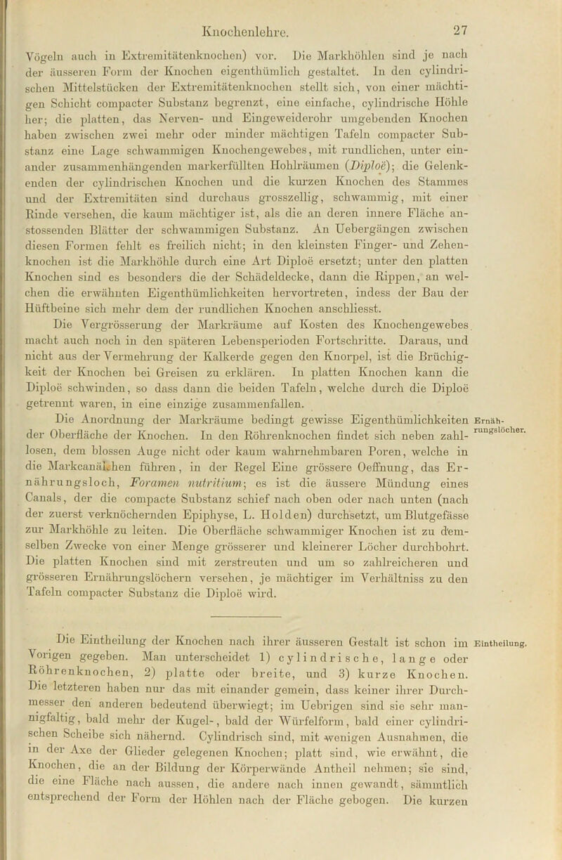 Vögeln auch in Extremitätenknochen) vor. Die Markhöhlen sind je nach der äusseren Form der Knochen eigentümlich gestaltet. In den cylindri- schen Mittelstücken der Extremitätenknochen stellt sich, von einer mächti- gen Schicht compacter Substanz begrenzt, eine einfache, cylindrische Höhle her; die platten, das Nerven- und Eingeweiderohr umgebenden Knochen haben zwischen zwei mehr oder minder mächtigen Tafeln compacter Sub- stanz eine Lage schwammigen Knochengewebes, mit rundlichen, unter ein- ander zusammenhängenden markerfüllten Hohlräumen (JJiplo'e); die Gelenk- enden der cylindrischen Knochen und die kurzen Knochen des Stammes und der Extremitäten sind durchaus grosszellig, schwammig, mit einer Kinde versehen, die kaum mächtiger ist, als die an deren innere Fläche an- stossenden Blätter der schwammigen Substanz. An Uebergängen zwischen diesen Formen fehlt es freilich nicht; in den kleinsten Finger- und Zehen- knochen ist die Markhöhle durch eine Art Diploe ersetzt; unter den platten Knochen sind es besonders die der Schädeldecke, dann die Rippen, an wel- chen die erwähnten Eigenthümlichkeiten hervortreten, indess der Bau der Hüftbeine sich mehr dem der rundlichen Knochen anschliesst. Die Vergrösserung der Markräume auf Kosten des Knochengewebes macht auch noch in den späteren Lebensperioden Fortschritte. Daraus, und nicht aus der Vermehrung der Kalkerde gegen den Knorpel, ist die Brüchig- keit der Knochen bei Greisen zu erklären. In platten Knochen kann die Diploe schwinden, so dass dann die beiden Tafeln, welche durch die Diploe getrennt waren, in eine einzige zusammenfallen. Die Anordnung der Markräume bedingt gewisse Eigenthümlichkeiten Emäh- der Oberfläche der Knochen. In den Röhrenknochen findet sich neben zahl- ru“g3löcher- losen, dem blossen Auge nicht oder kaum wahrnehmbaren Poren, welche in die MarkcanäLhen führen, in der Regel Eine grössere Oeffnung, das Er- nährungsloch, Foramen nutritium-, es ist die äussere Mündung eines Canals, der die compacte Substanz schief nach oben oder nach unten (nach der zuerst verknöchernden Epiphyse, L. Holden) durchsetzt, um Blutgefässe zur Markhöhle zu leiten. Die Oberfläche schwammiger Knochen ist zu dem- selben Zwecke von einer Menge grösserer und kleinerer Löcher durchbohrt. Die platten Knochen sind mit zerstreuten und um so zahlreicheren und grösseren Ernährungslöchern versehen, je mächtiger im Verhältniss zu den Tafeln compacter Substanz die Diploe wird. Die Eintheilung der Knochen nach ihrer äusseren Gestalt ist schon im Eintheilung. Vorigen gegeben. Man unterscheidet 1) cylindrische, lange oder Röhrenknochen, 2) platte oder breite, und 3) kurze Knochen. Die letzteren haben nur das mit einander gemein, dass keiner ihrer Durch- messer den anderen bedeutend überwiegt; im Uebrigen sind sie sehr man- nigfaltig, bald mehr der Kugel-, bald der Würfelform, bald einer cylindri- schen Scheibe sich nähernd. Cylindrisch sind, mit wenigen Ausnahmen, die in der Axe der Glieder gelegenen Knochen; platt sind, wie erwähnt, die Knochen, die an der Bildung der Körperwände Antheil nehmen; sie sind, die eine Fläche nach aussen, die andere nach innen gewandt, sämmtlich entsprechend der Form der Höhlen nach der Fläche gebogen. Die kurzen